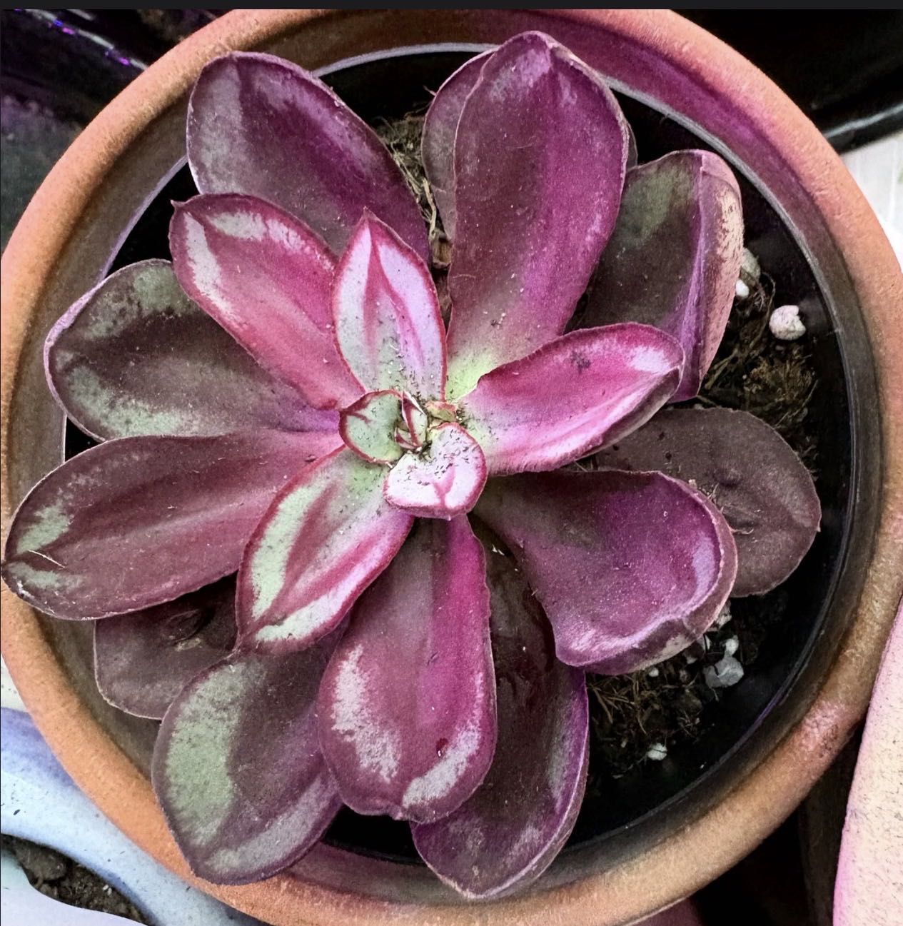 Photo from the post