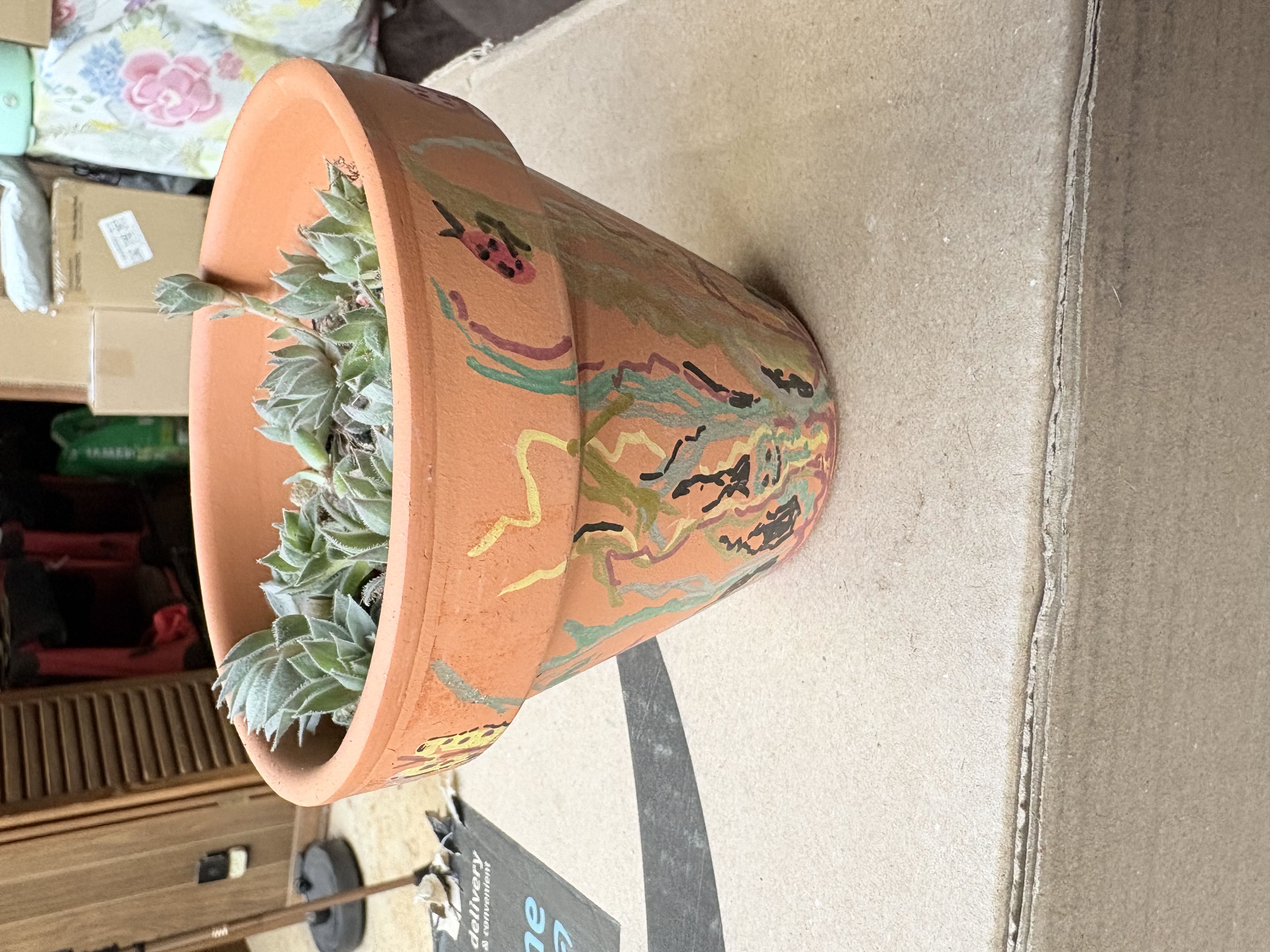 Photo from the post