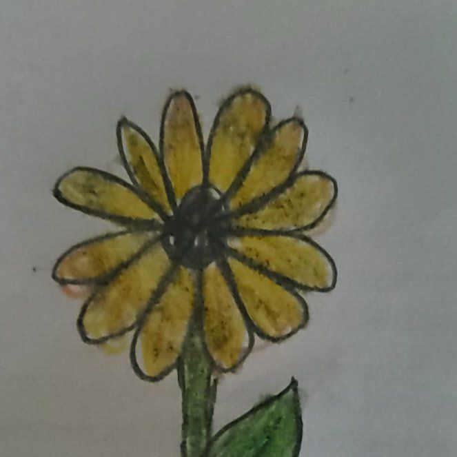 Photo of the plant species Little Tree Plant by @AceSkunkbush48 named Dax on Greg, the plant care app