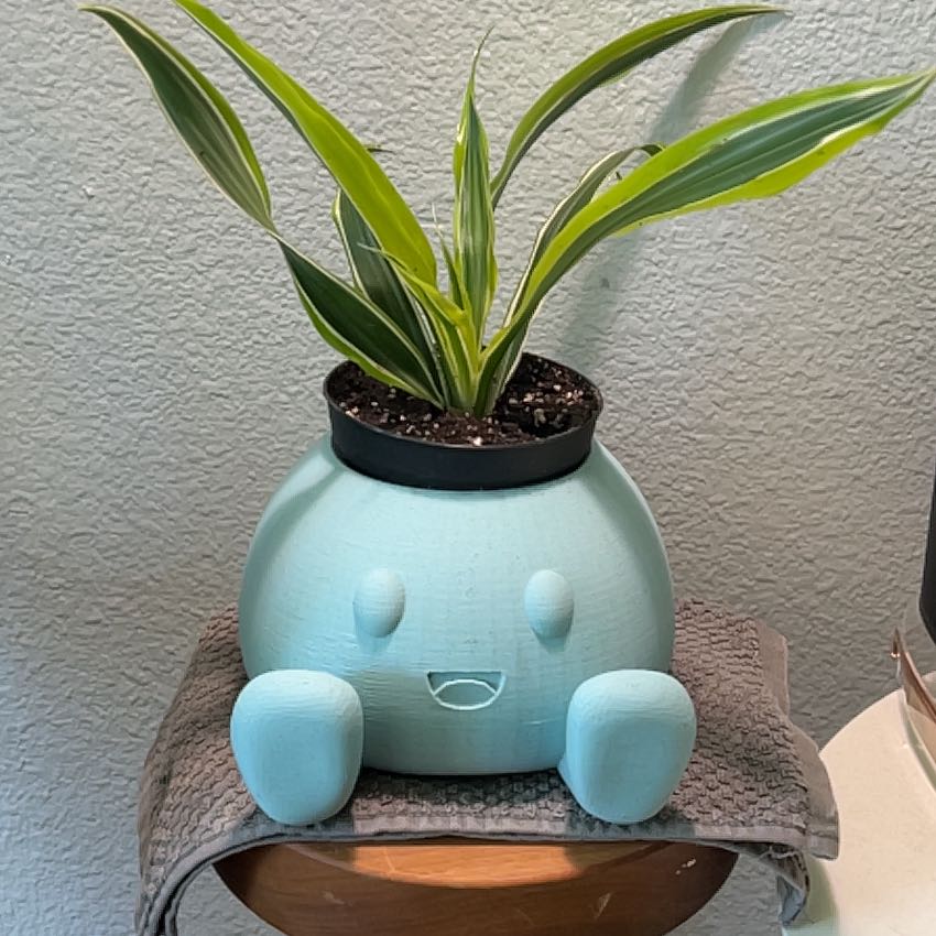 Dracaena 'Lemon Lime' plant in a decorative pot with vibrant green leaves.