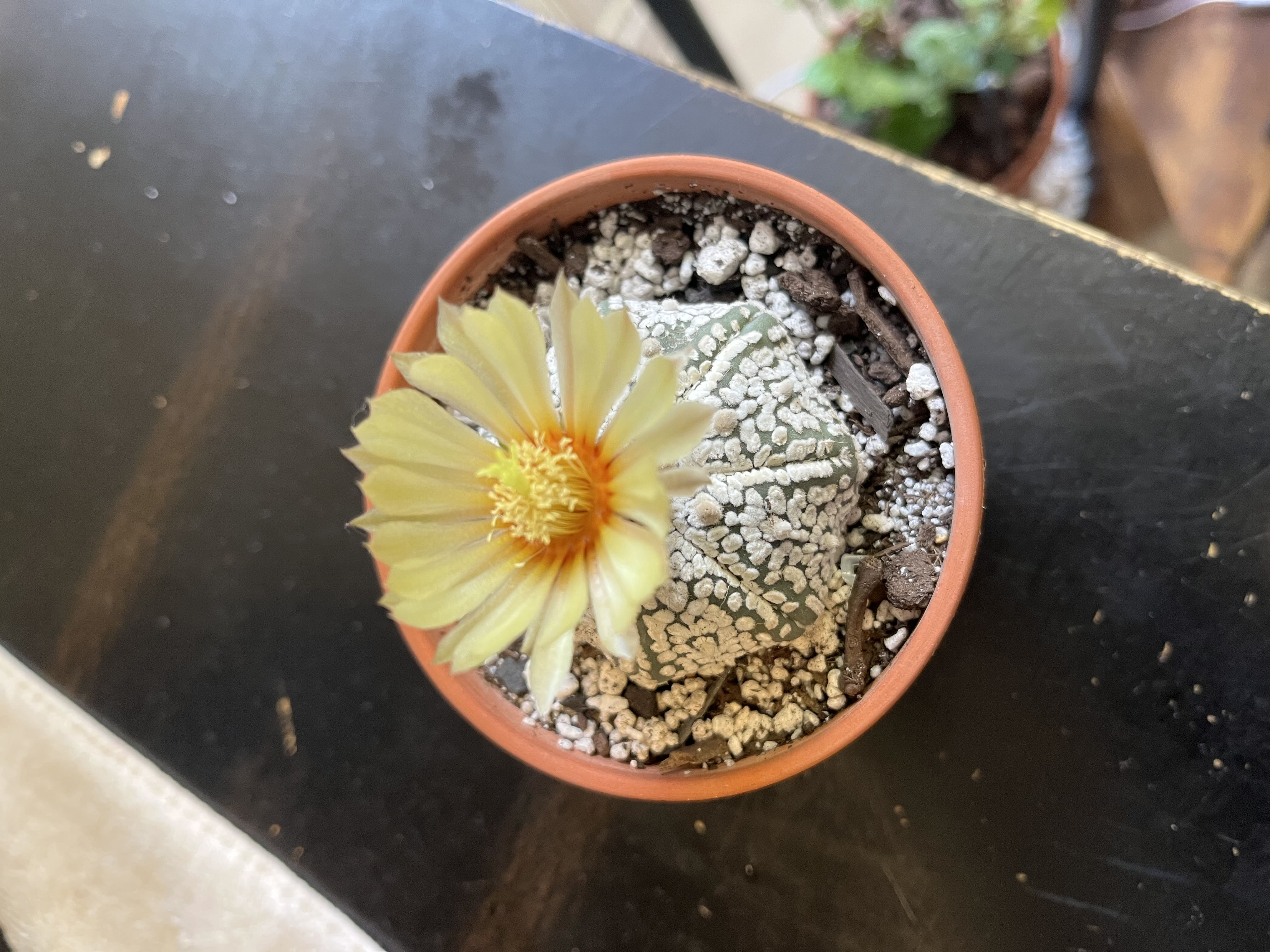 Photo from the post