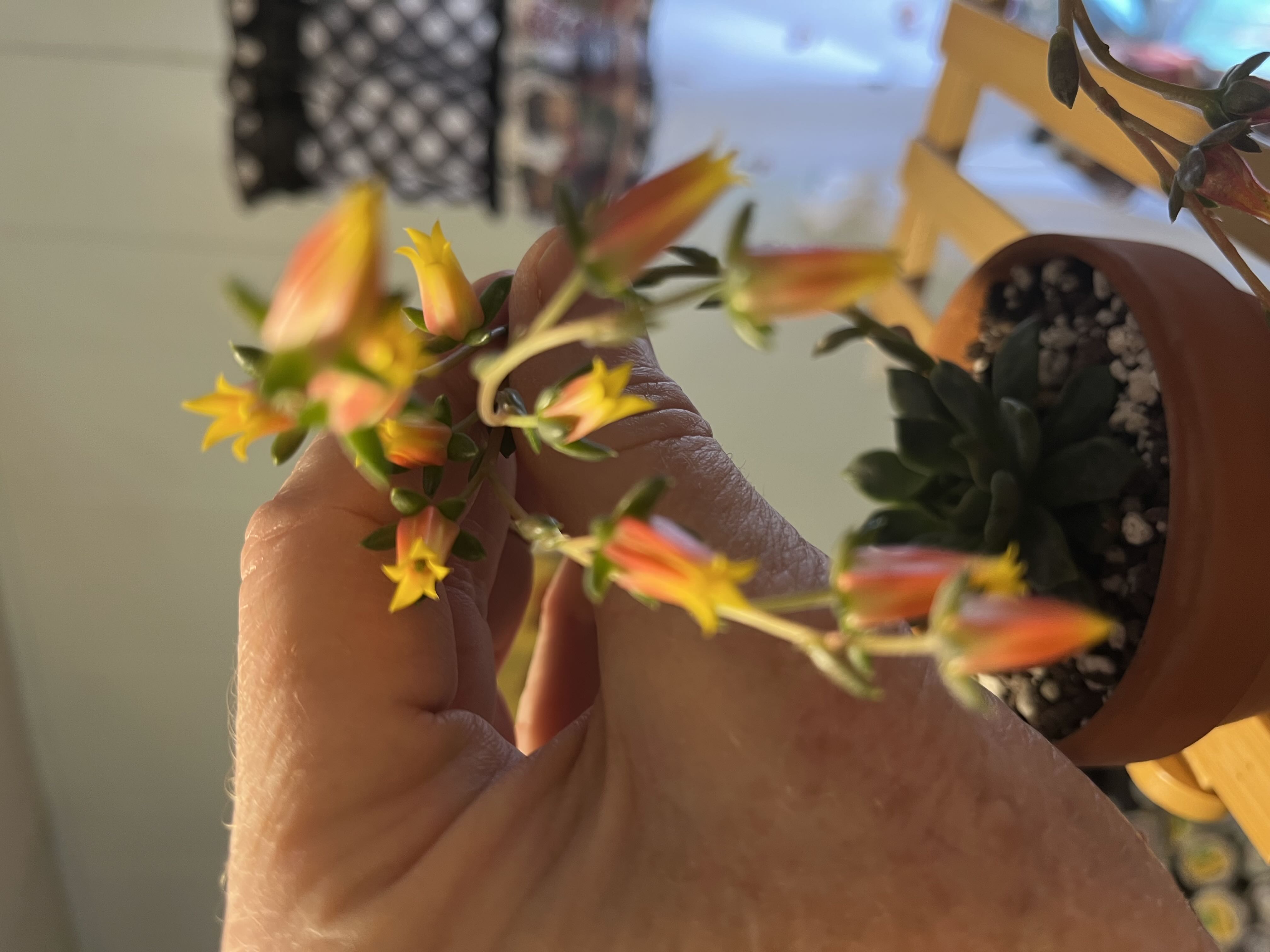 Photo from the post
