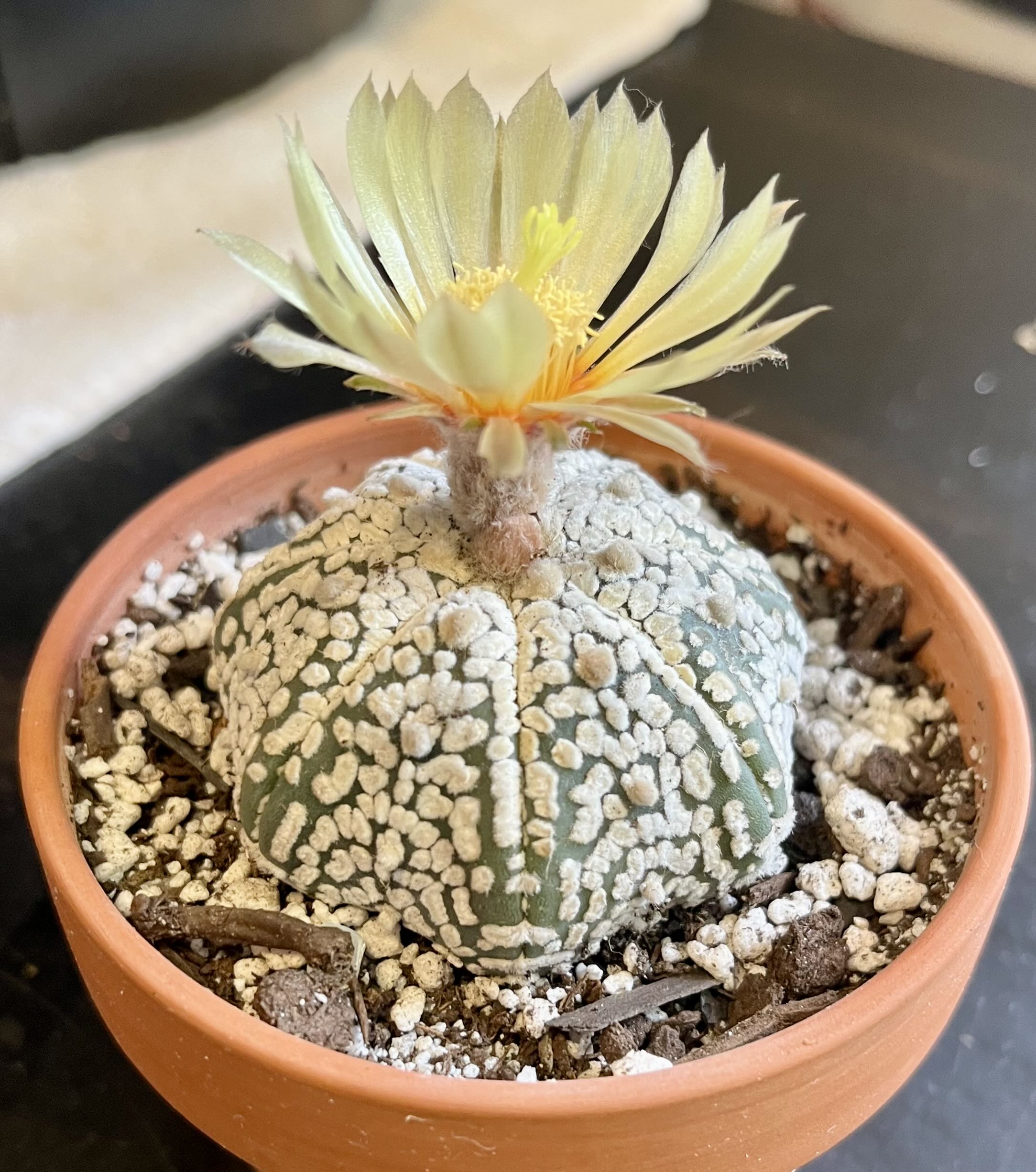 Photo from the post