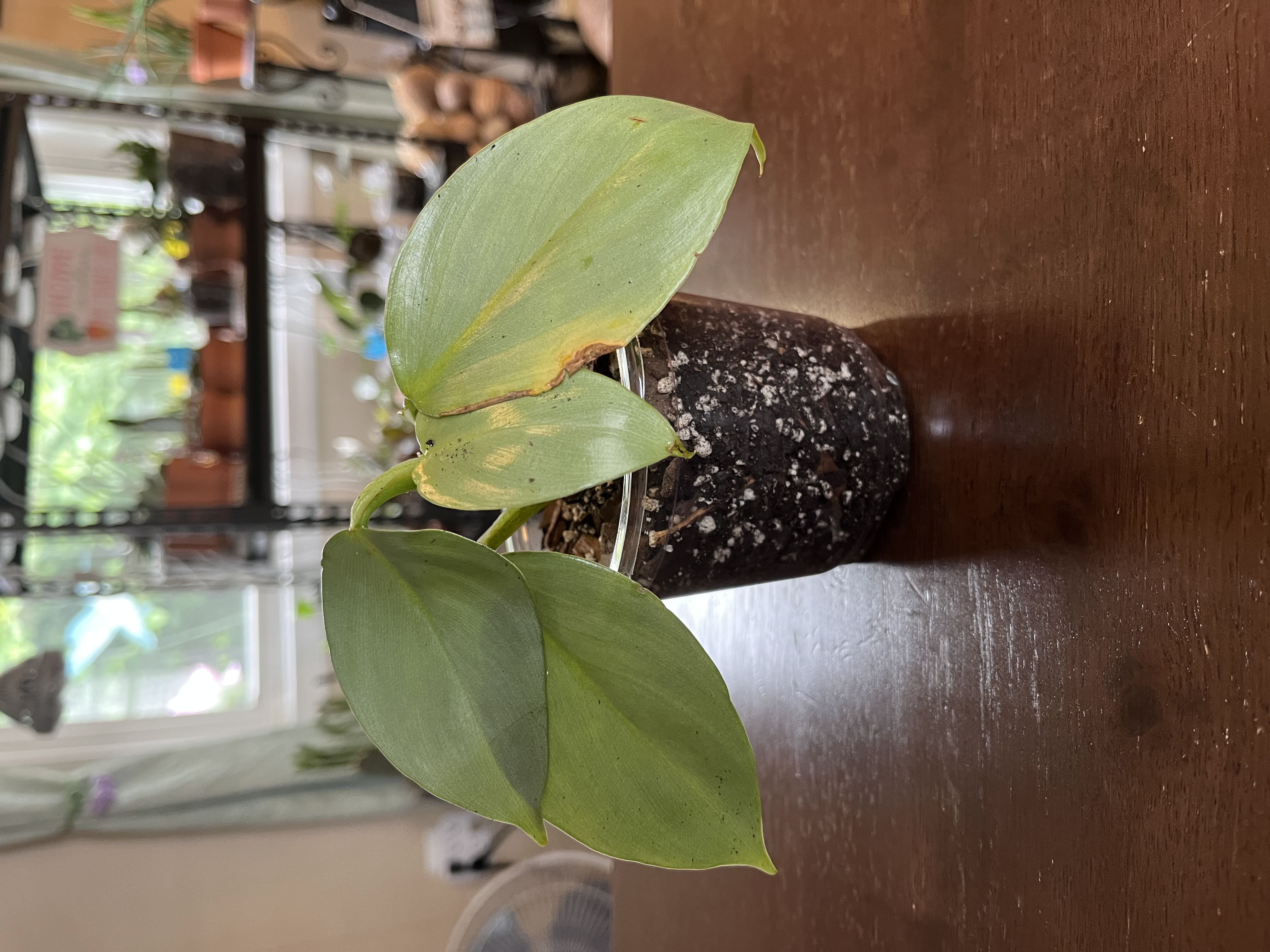 Photo from the post