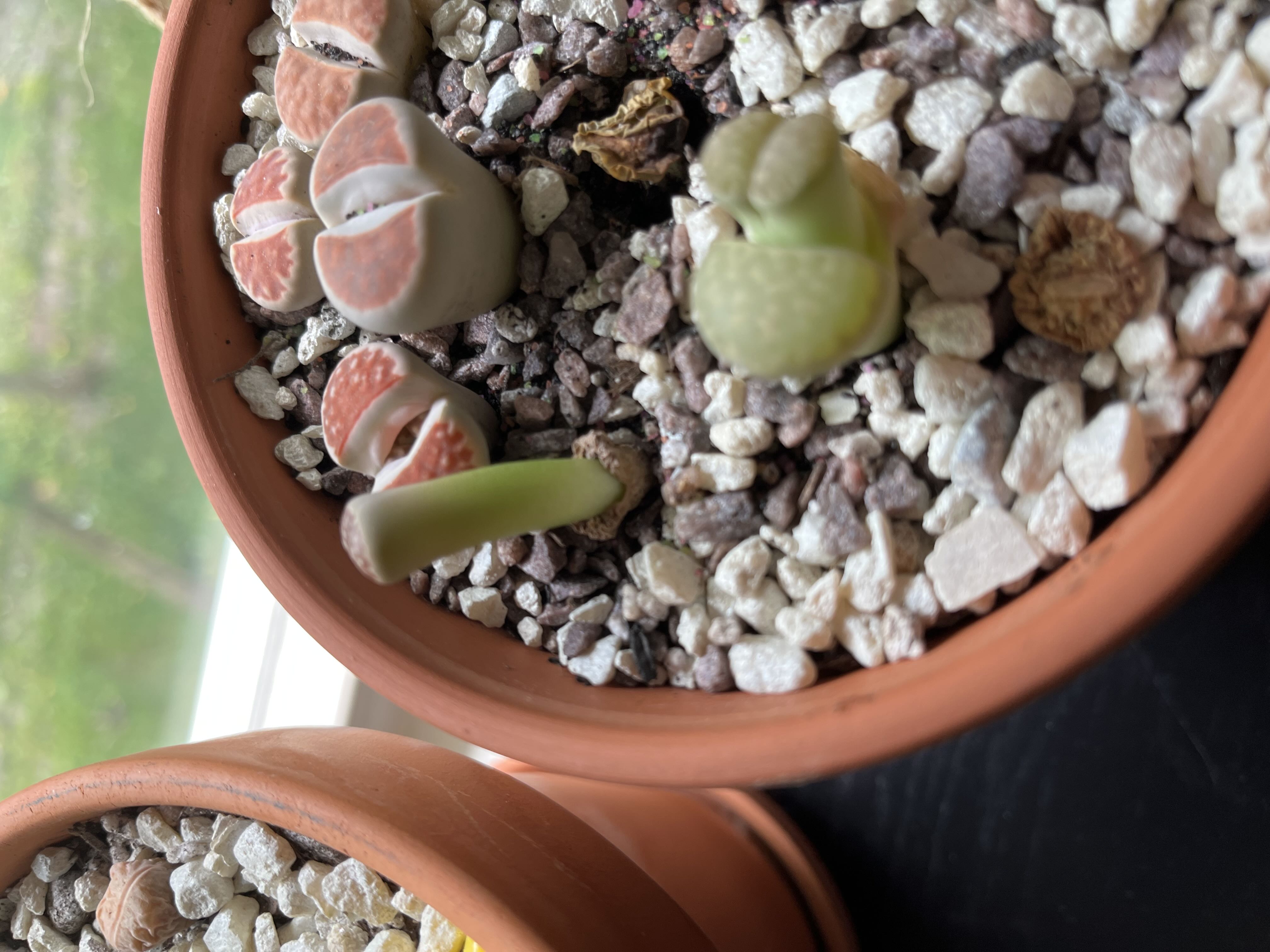 Photo from the post