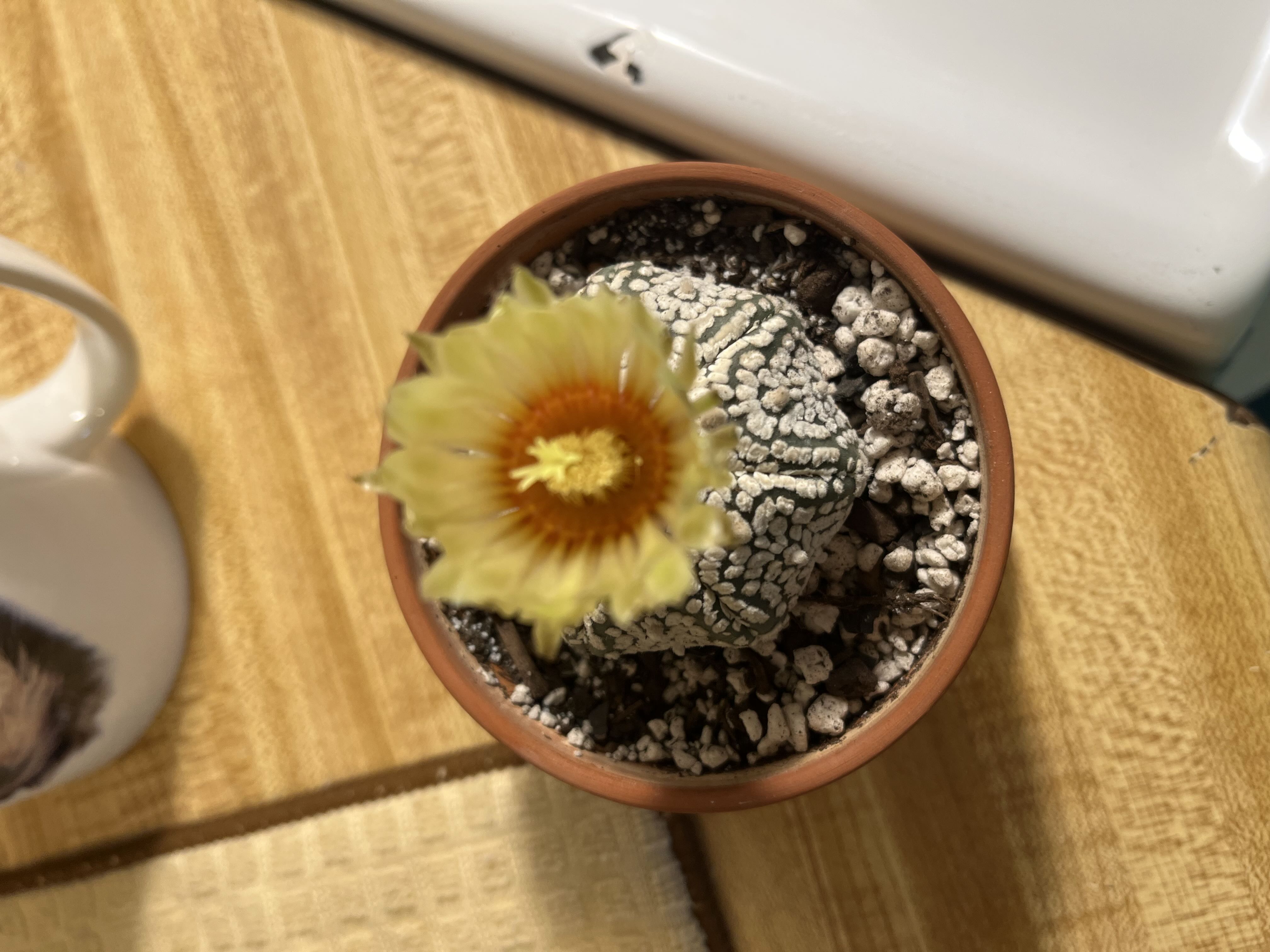 Photo from the post
