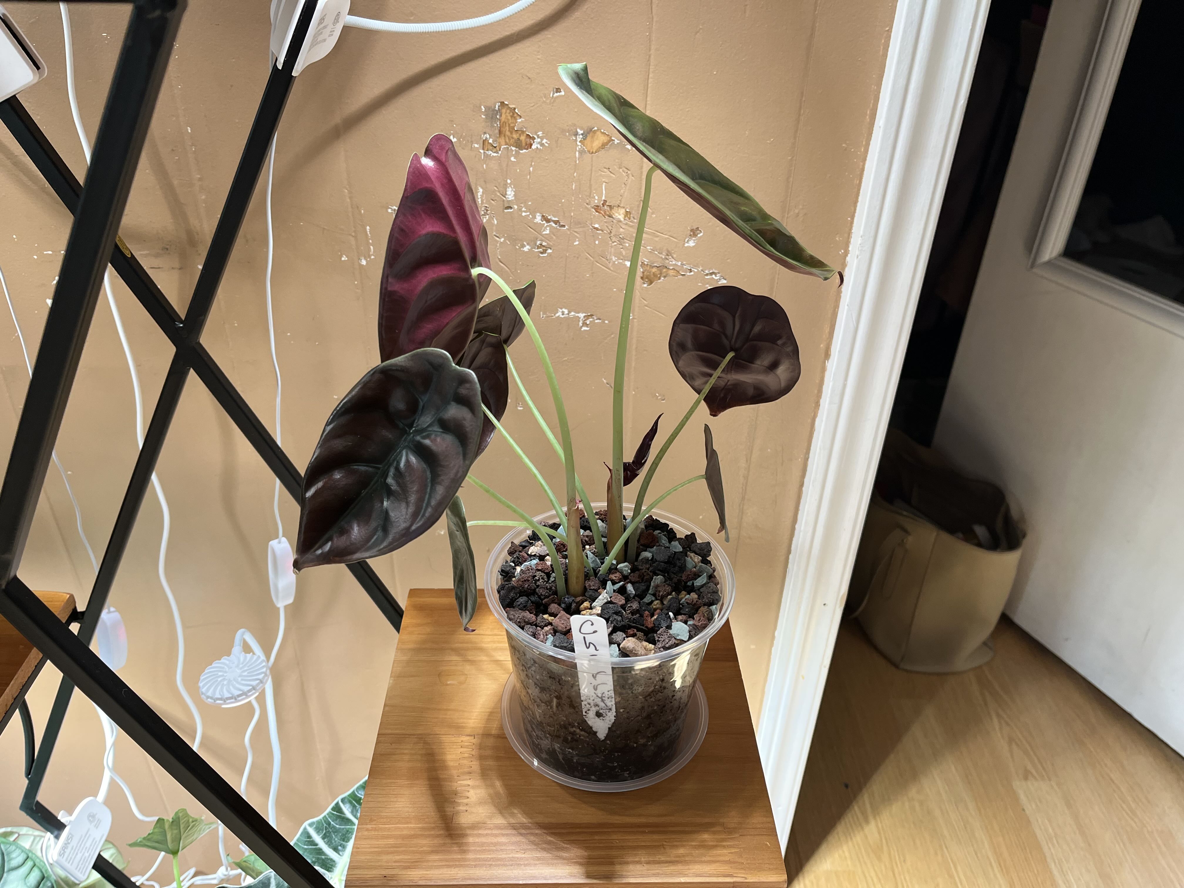 Photo from the post