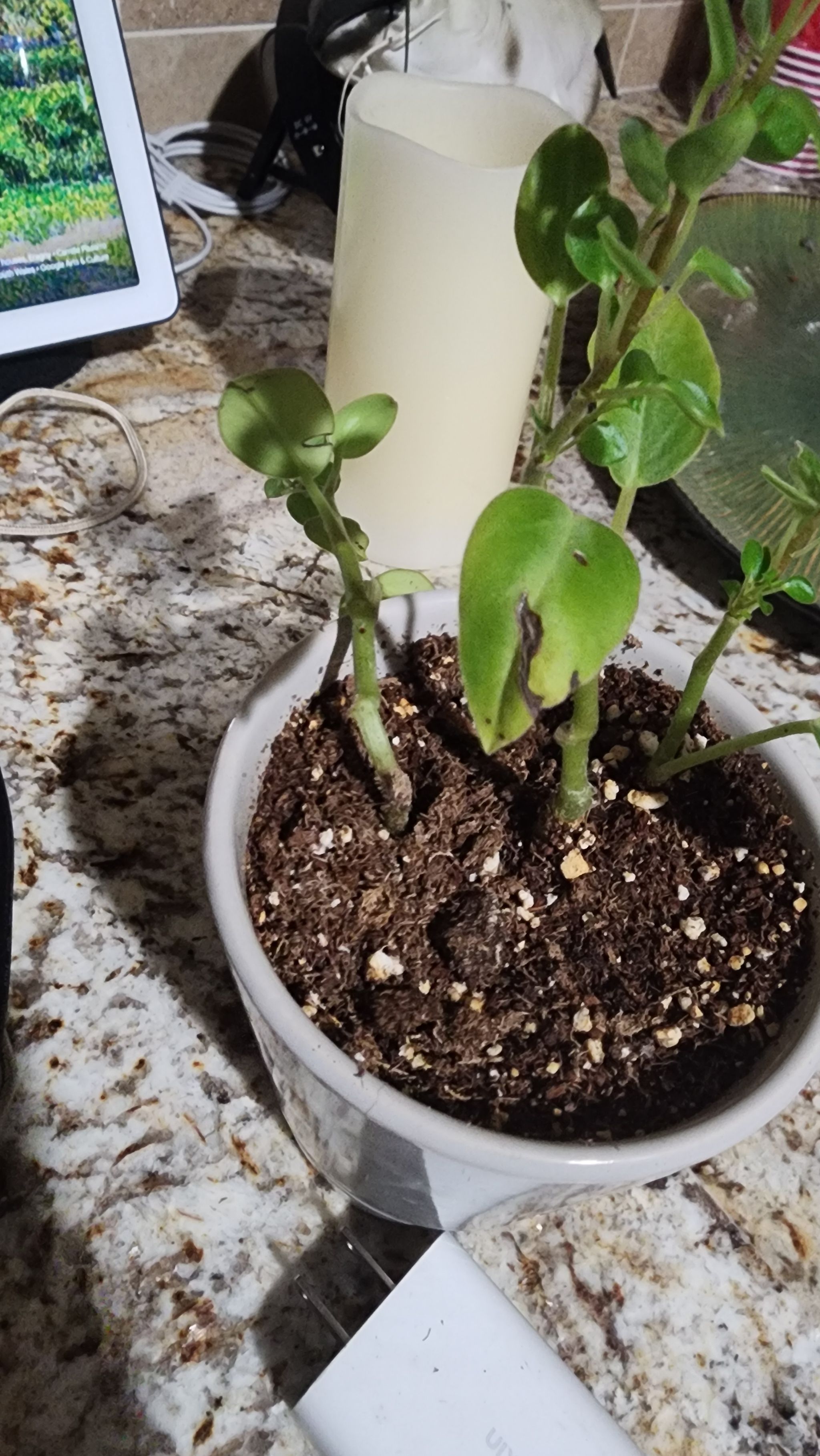 Photo from the post