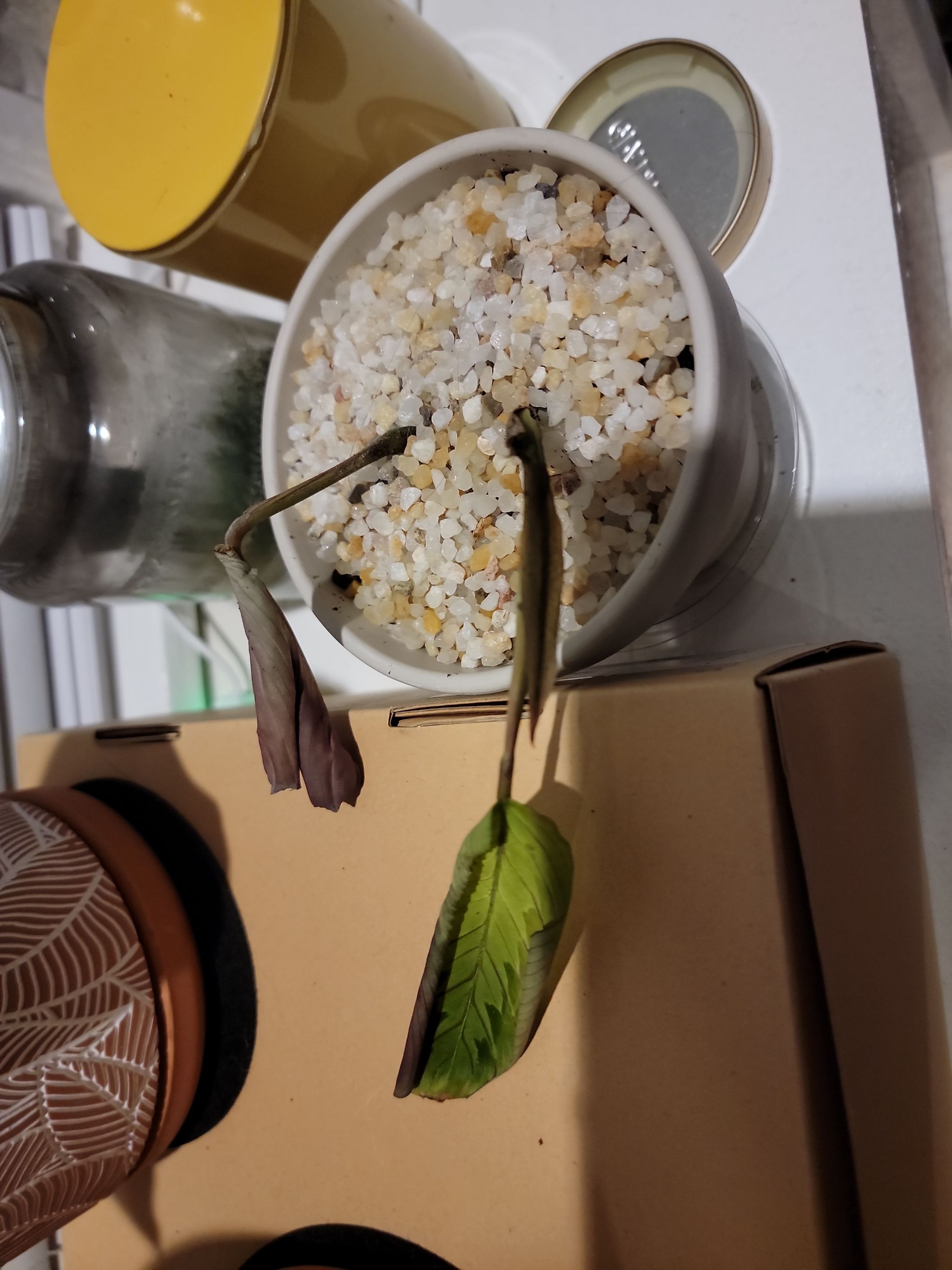 Photo from the post