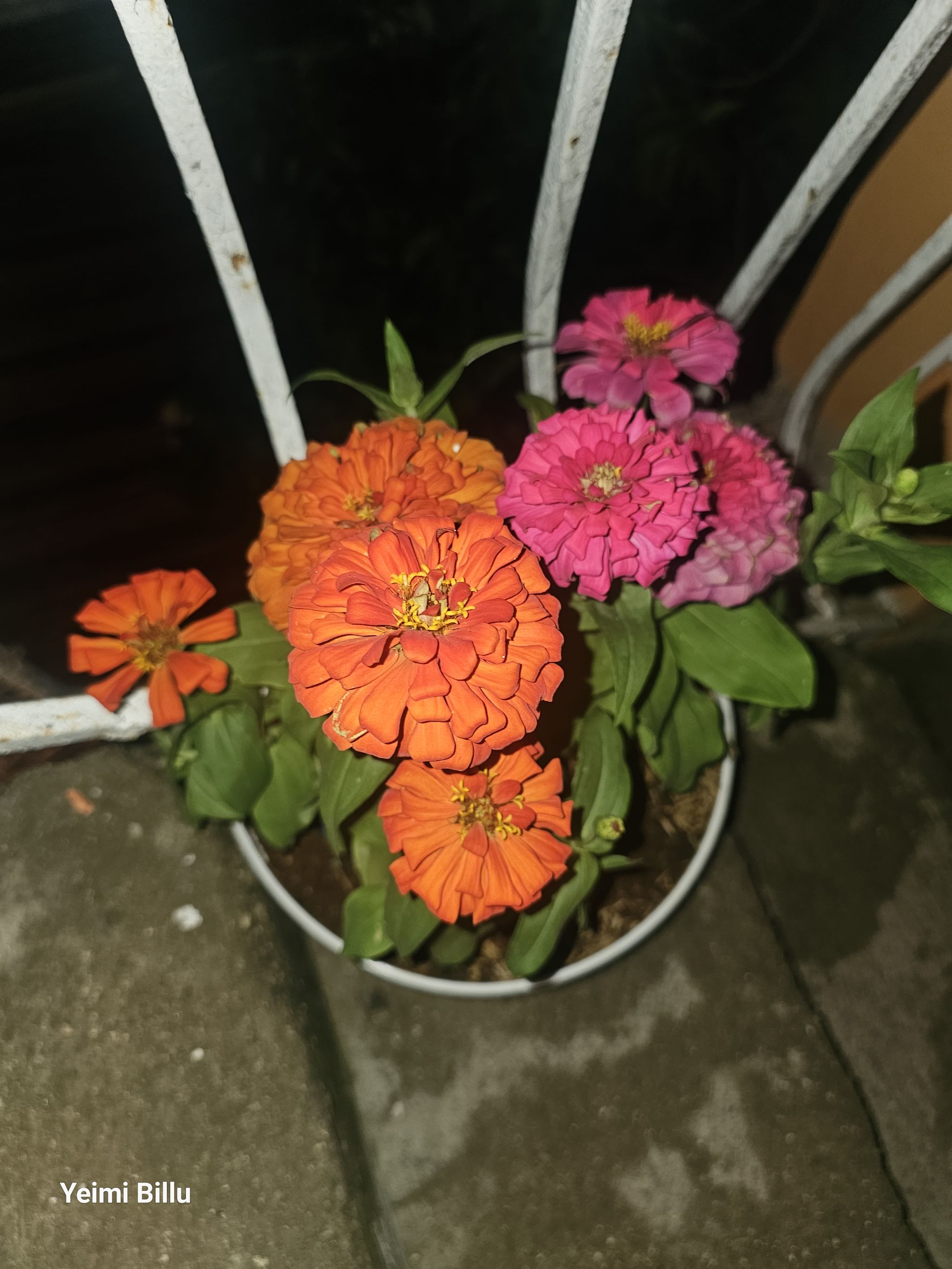 Photo from the post