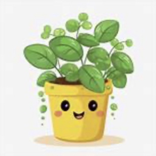 Photo of the plant species Starling Ivy by @LiteraryPetunia named Star on Greg, the plant care app
