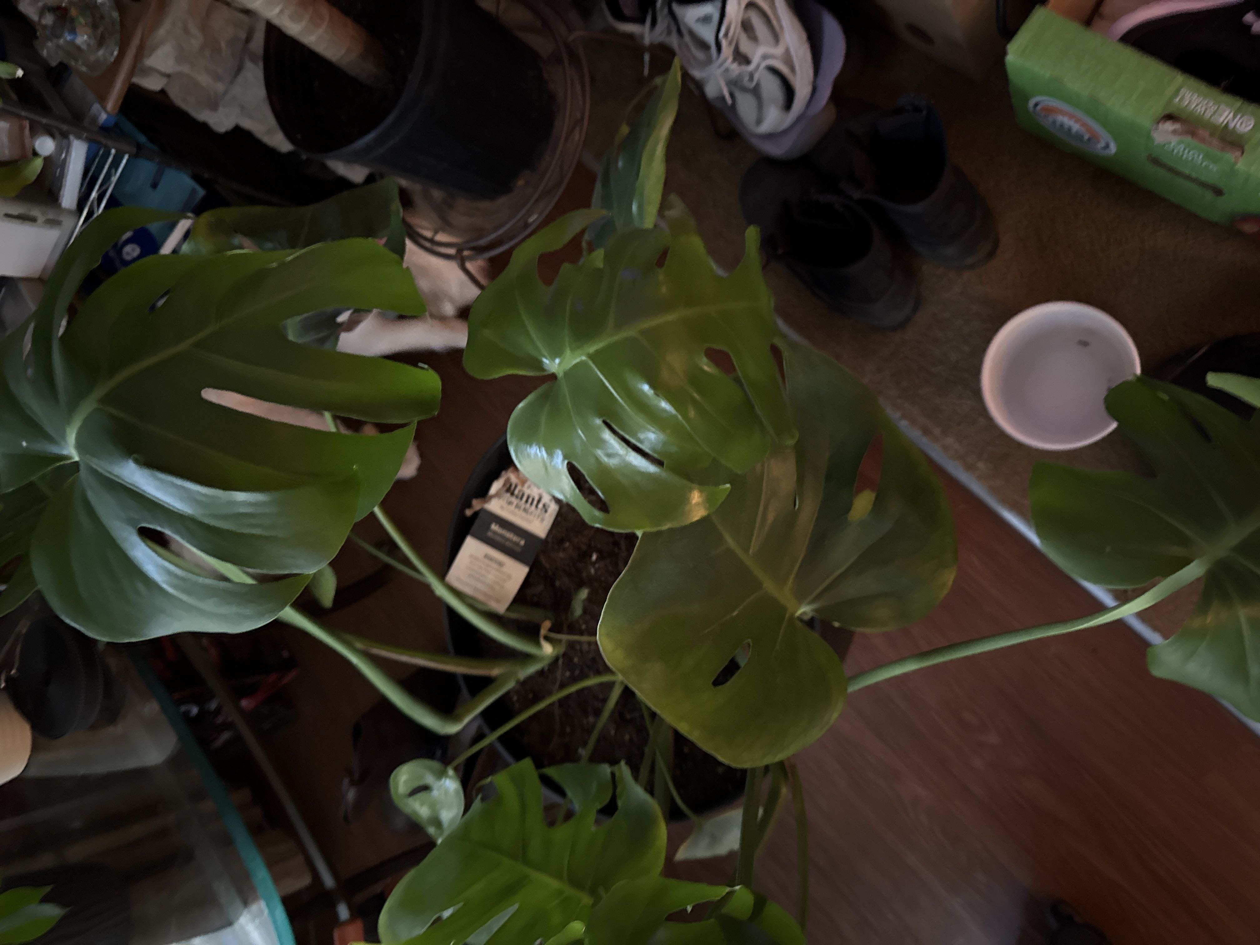 Photo from the post