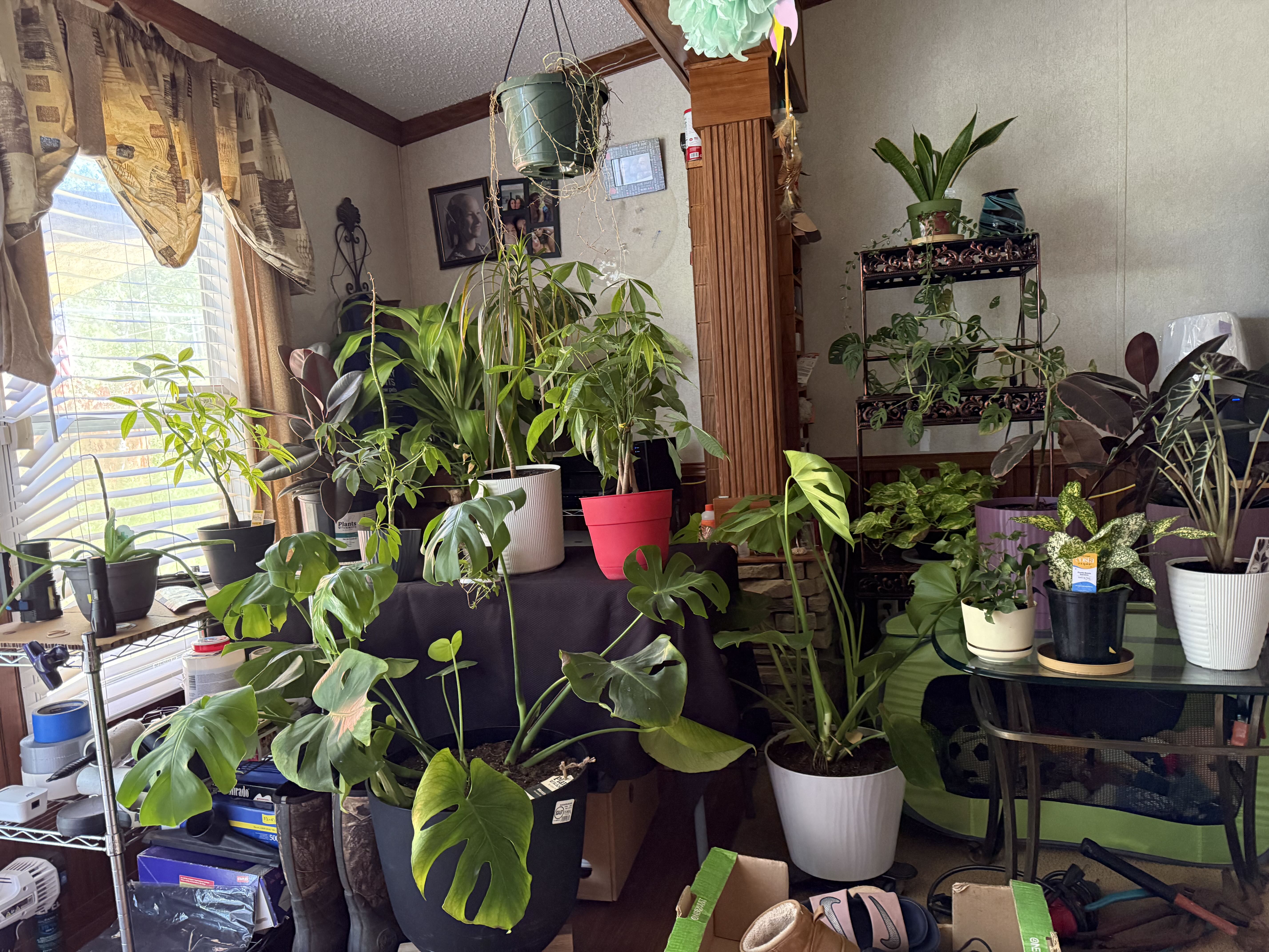 Photo from the post