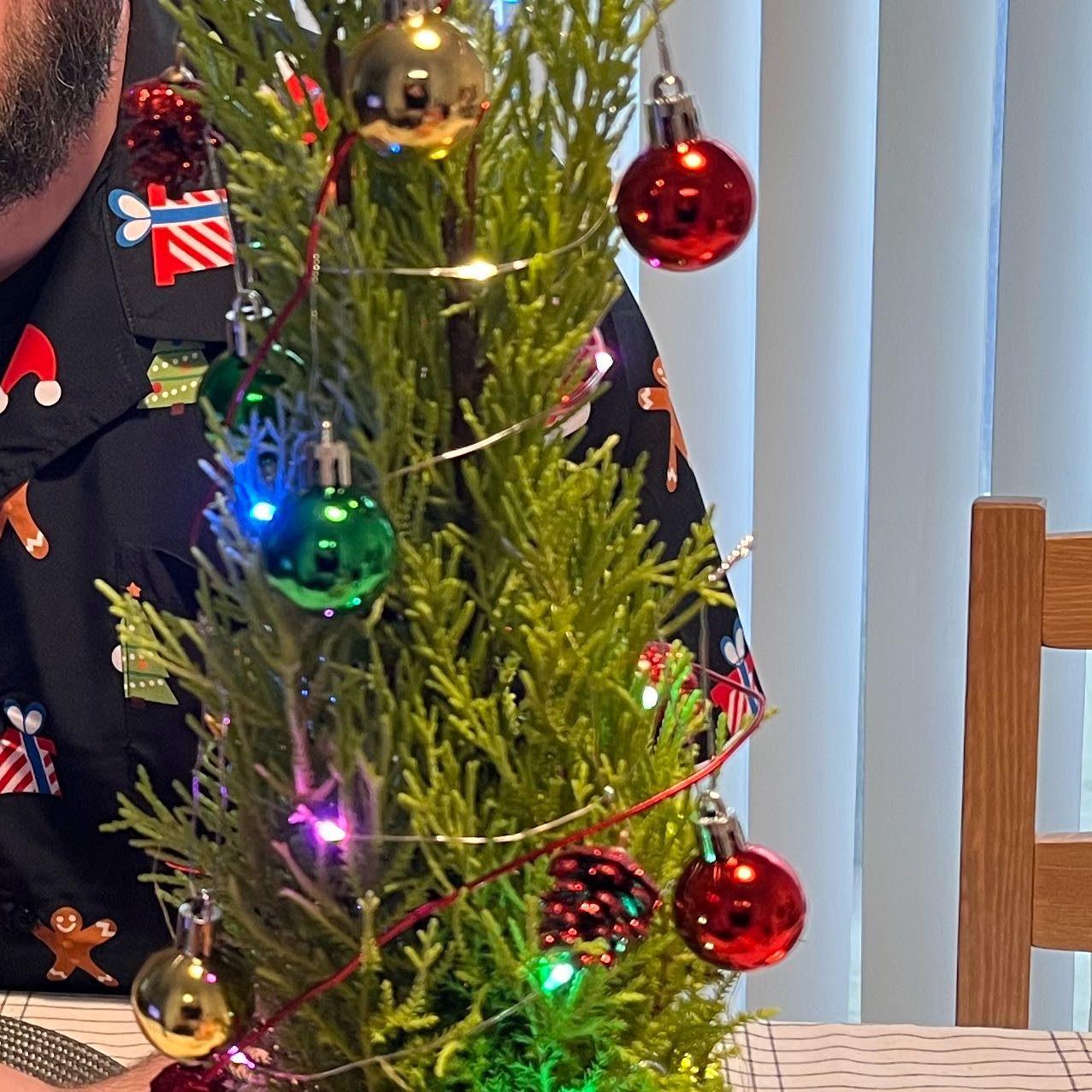 Photo of the plant species Lemon Cypress by @BackupMastic16 named Figyonce on Greg, the plant care app