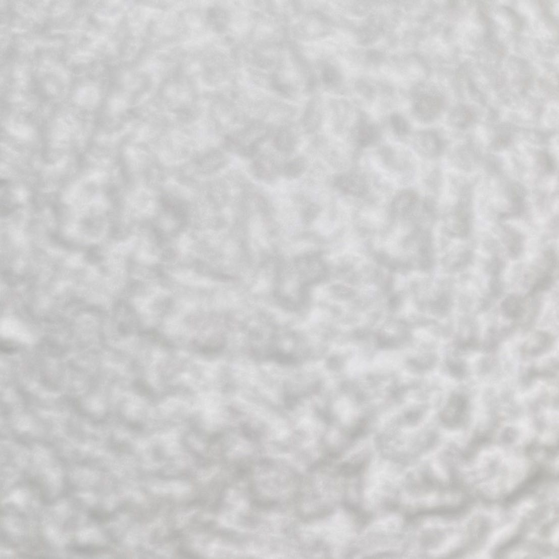Photo of the plant species Snow White by @EarthyIvy named Aged angle on Greg, the plant care app