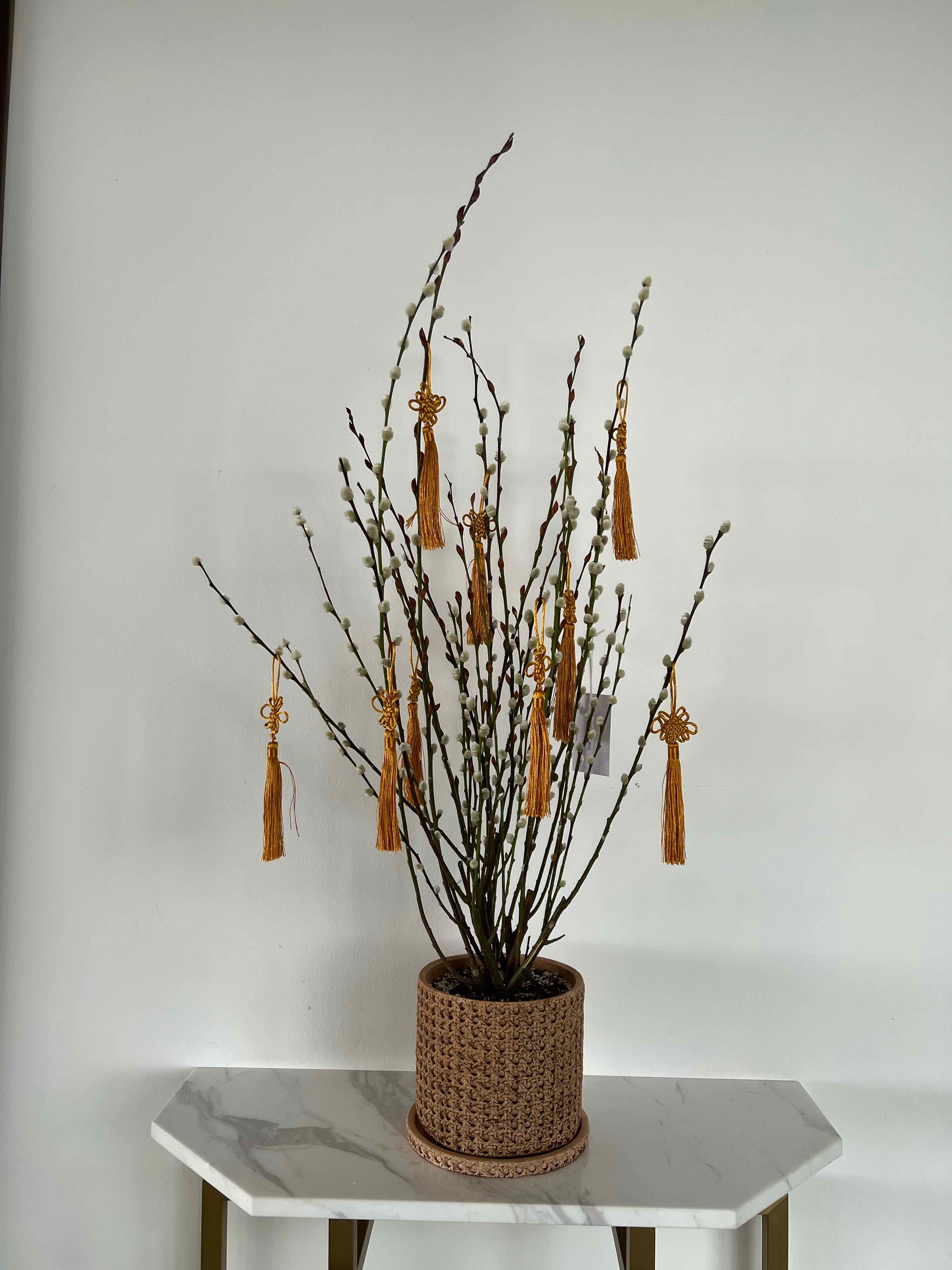 Pussy Willow plant in a woven pot with decorative tassels hanging from branches.