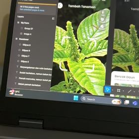 Photo of the plant species Amaranth Pigweed by @BlazingGalega68 named Rainier on Greg, the plant care app