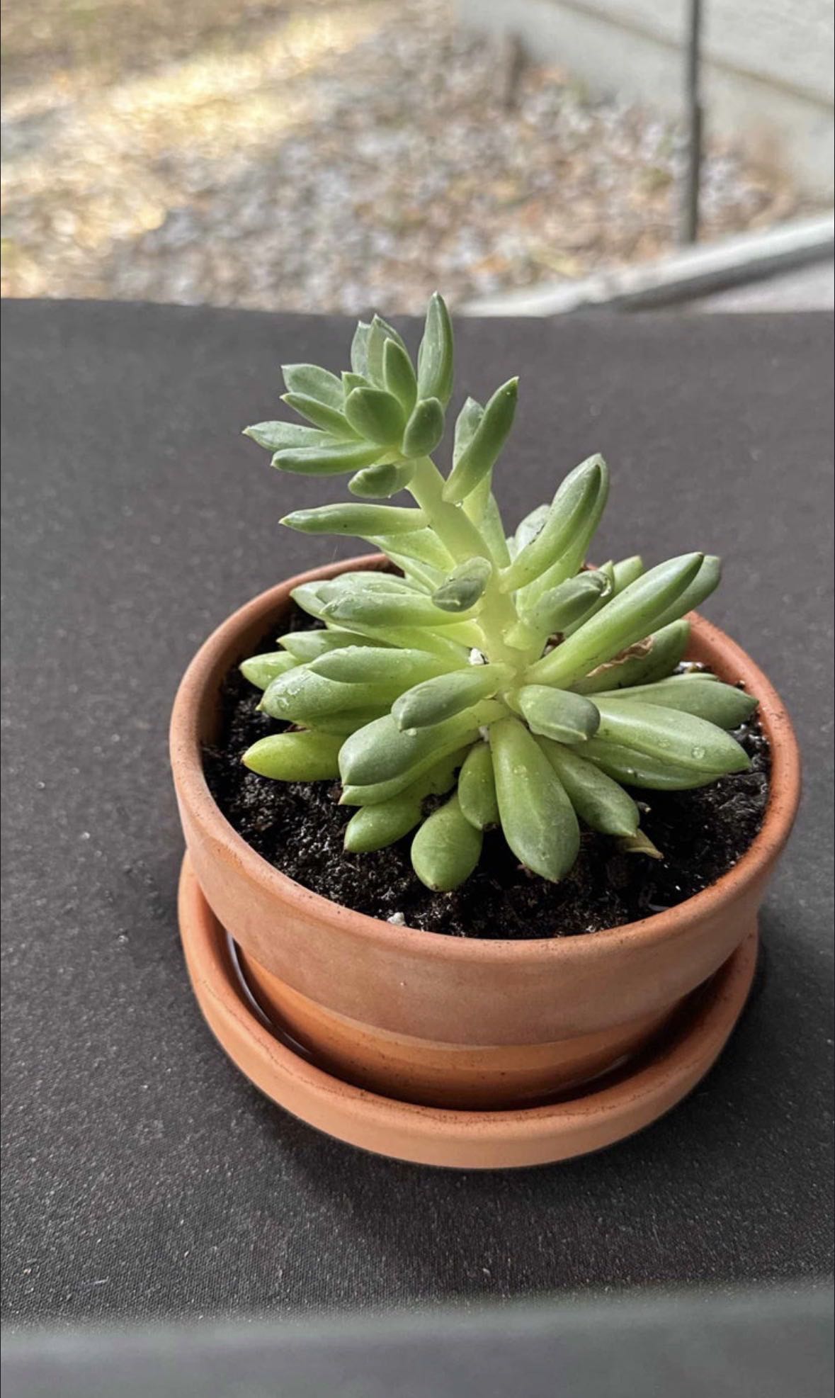 Photo from the post