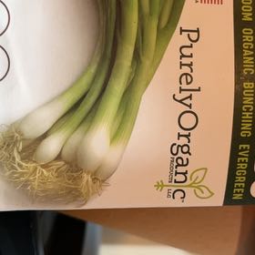Photo of the plant species onion by @ChicGabisan29 named Onion🔥🔥🔥 on Greg, the plant care app