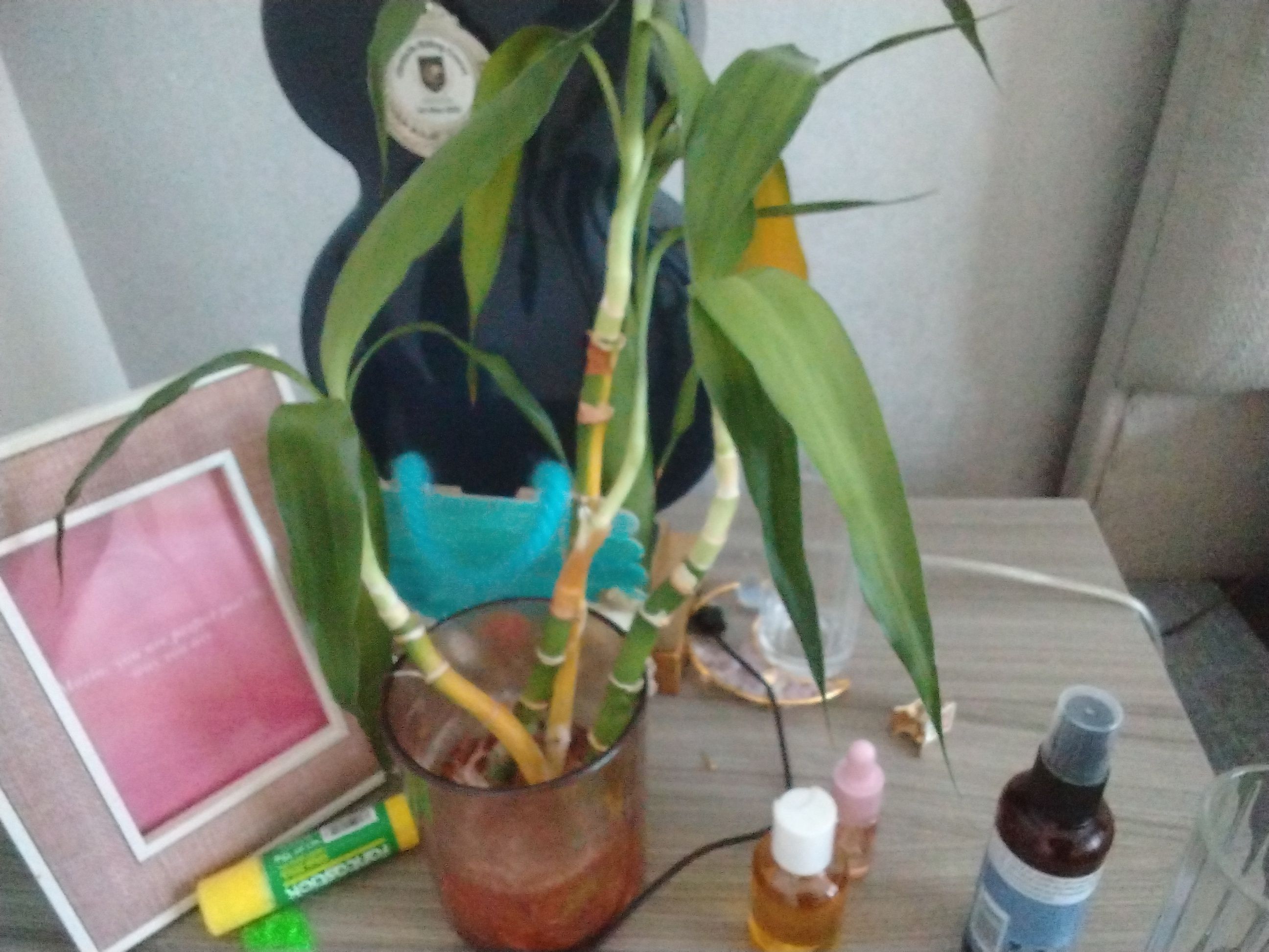 Photo from the post