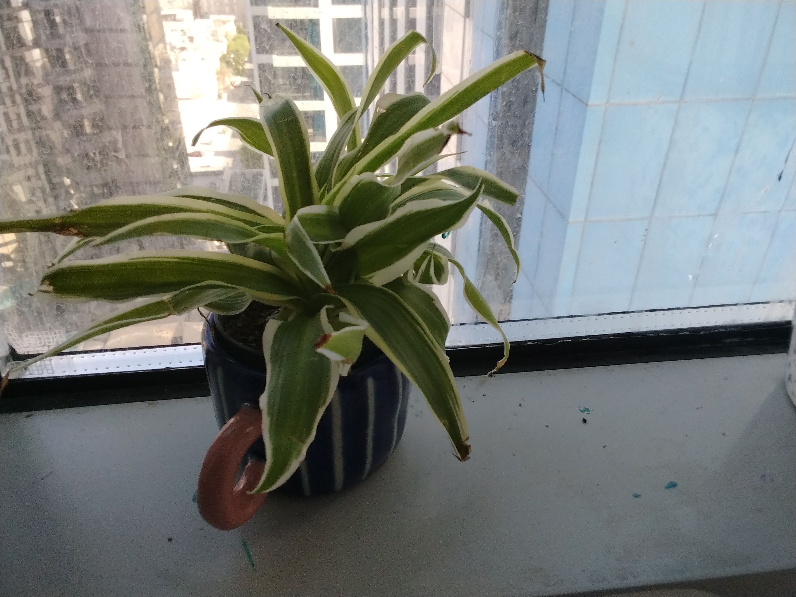 Photo from the post
