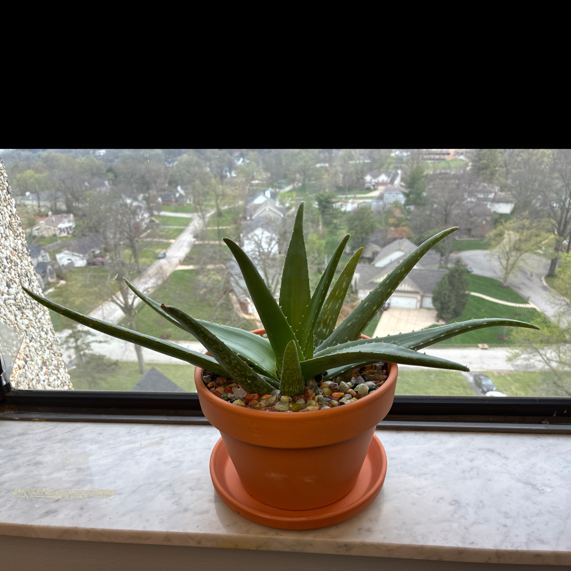 Fernie Mac
