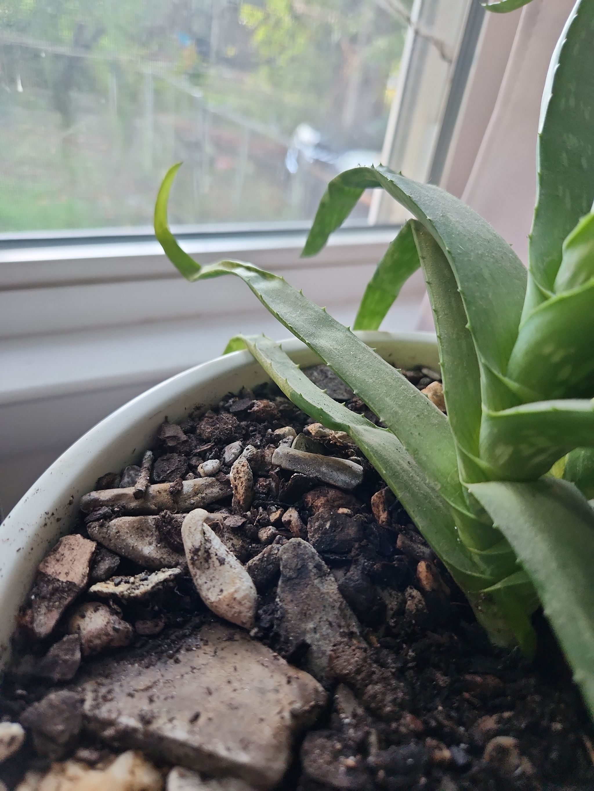 Photo from the post