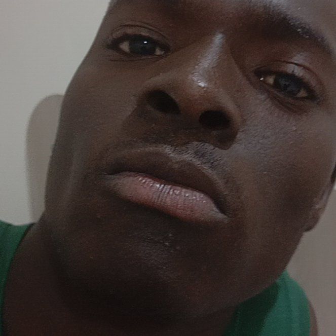 Photo of the plant species Black Walnut by @SlinkyBroccoli named Sol on Greg, the plant care app