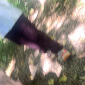 Photo of the plant species Castor Bean by @KeenJacaranda42 named Eva on Greg, the plant care app