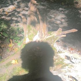 Photo of the plant species Water Spangles by @KeenJacaranda42 named Fernie Mac on Greg, the plant care app