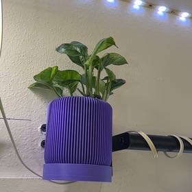 Photo of the plant species Lizard Queen Pothos by @Sarahsmile named James Dean on Greg, the plant care app