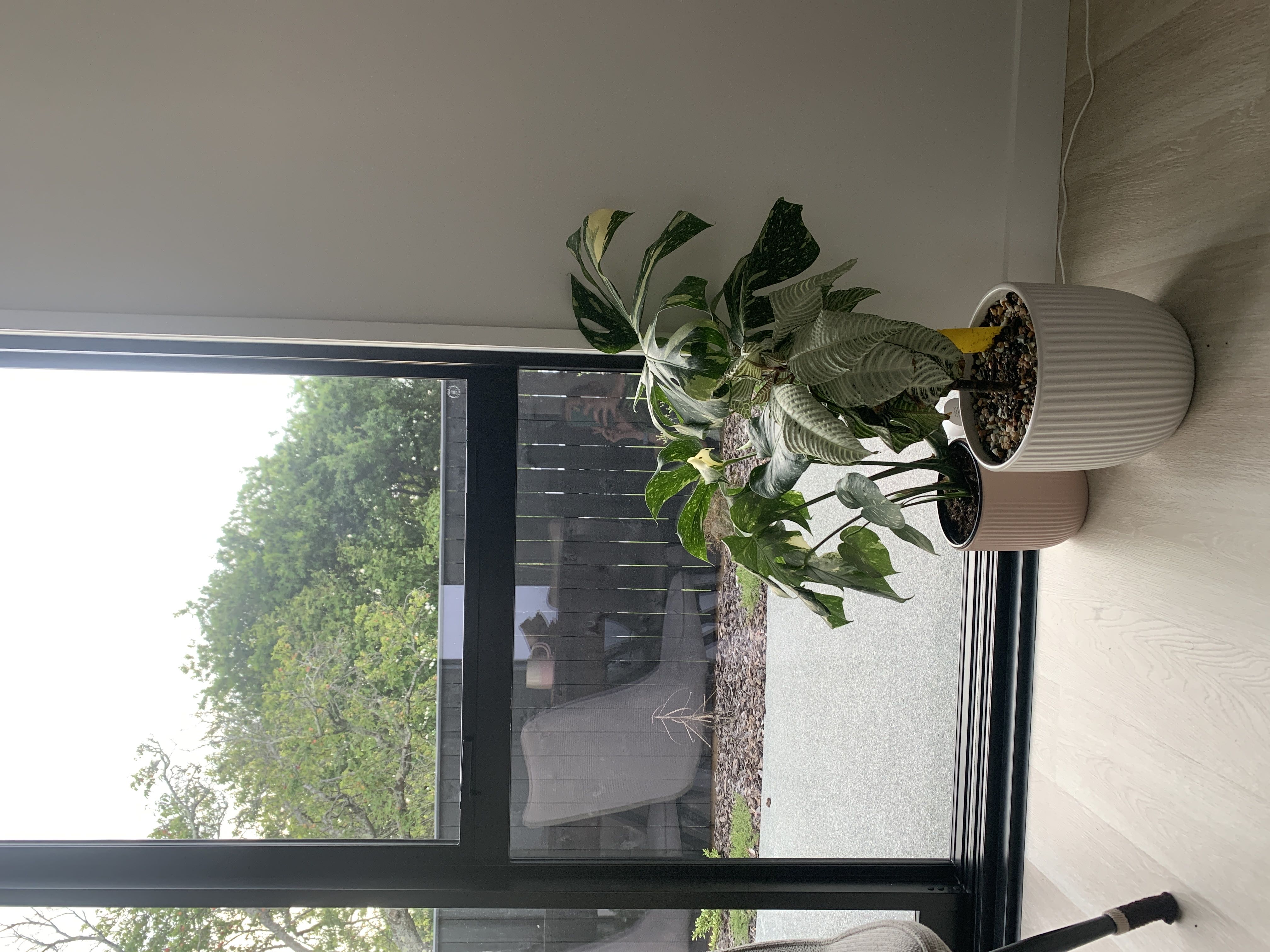Photo from the post