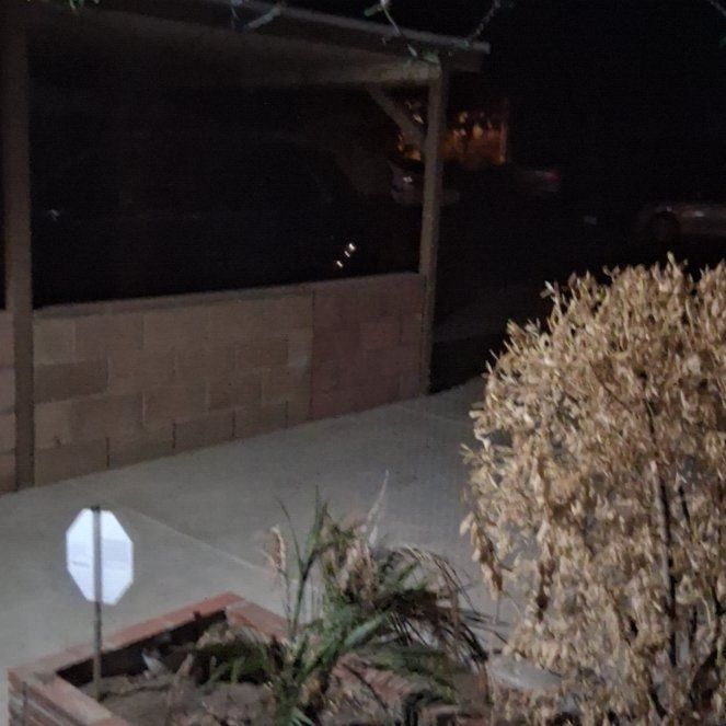 Photo of the plant species Common Reed by @WiseEagleclaw89 named Marilyn on Greg, the plant care app