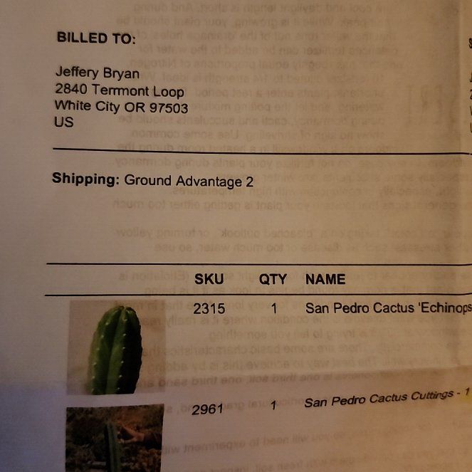 Photo of the plant species San Pedro by @TactfulTule57 named Zeus on Greg, the plant care app