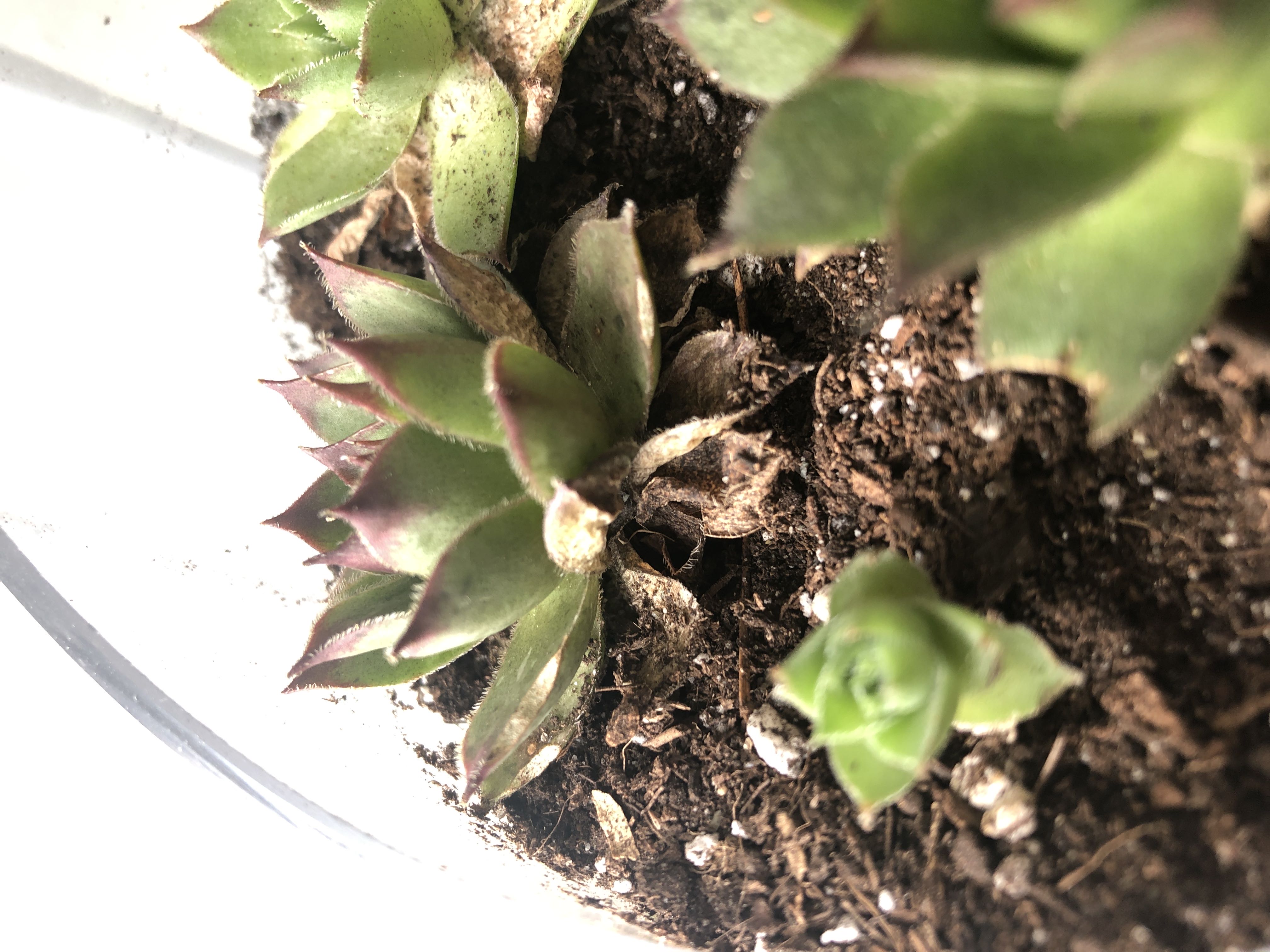 Photo from the post