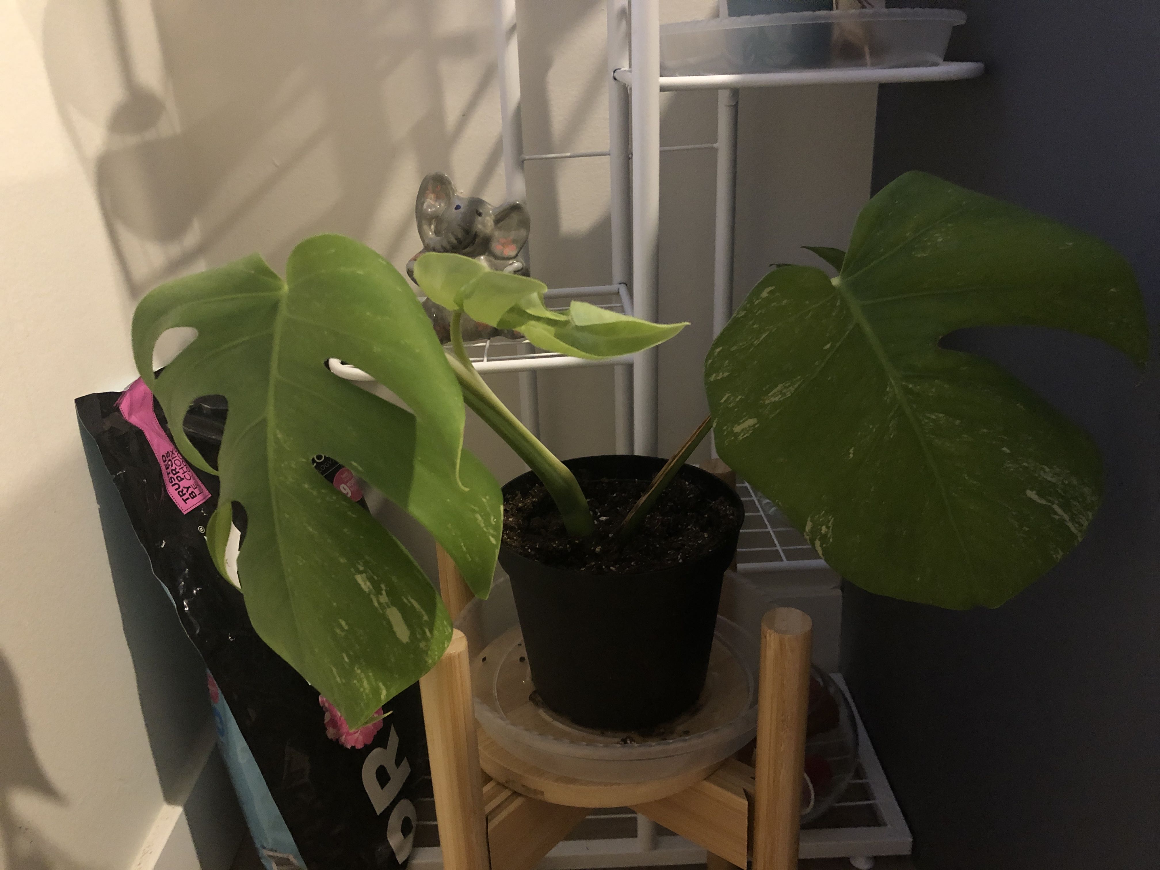 Photo from the post