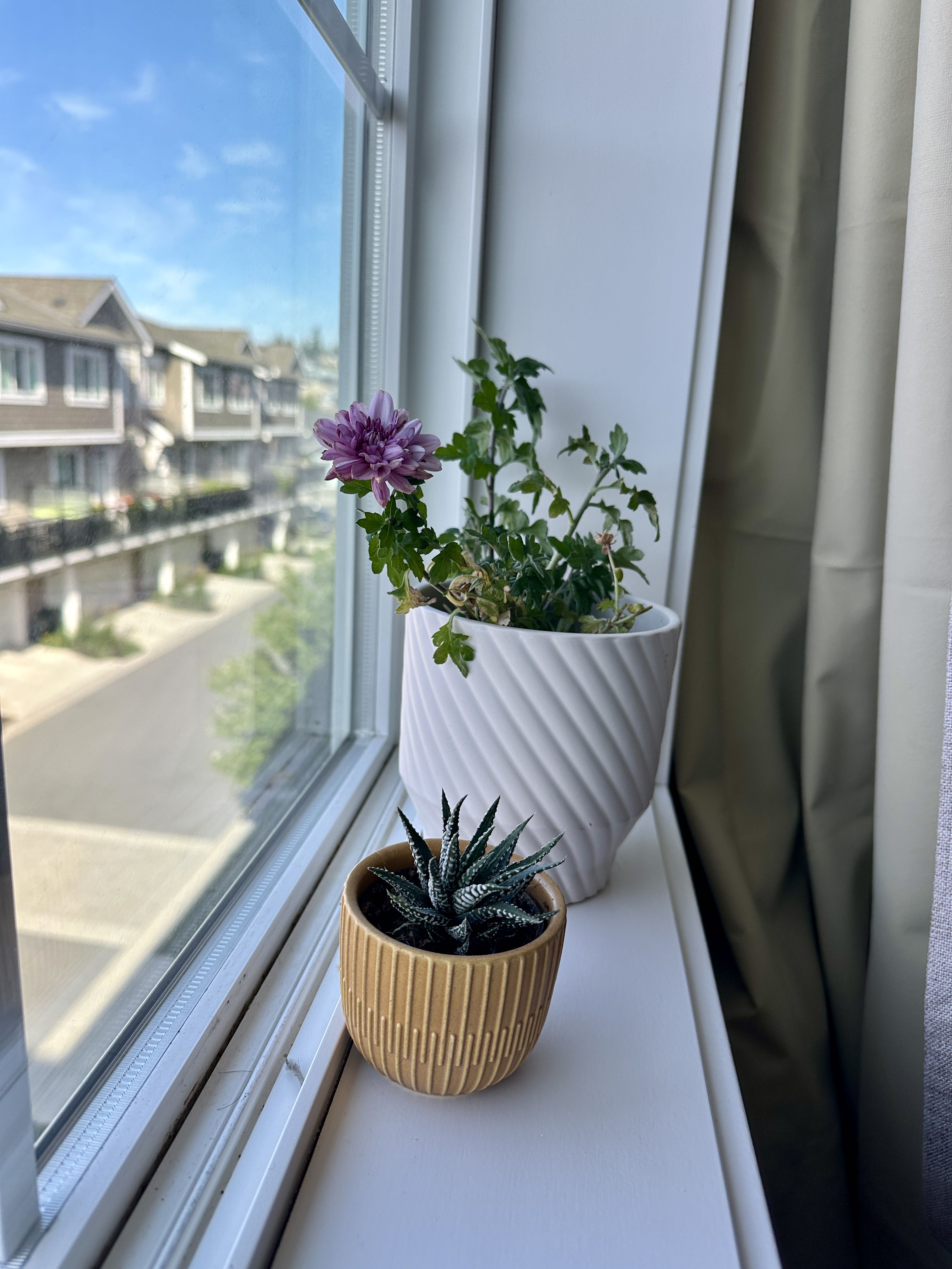 Photo from the post