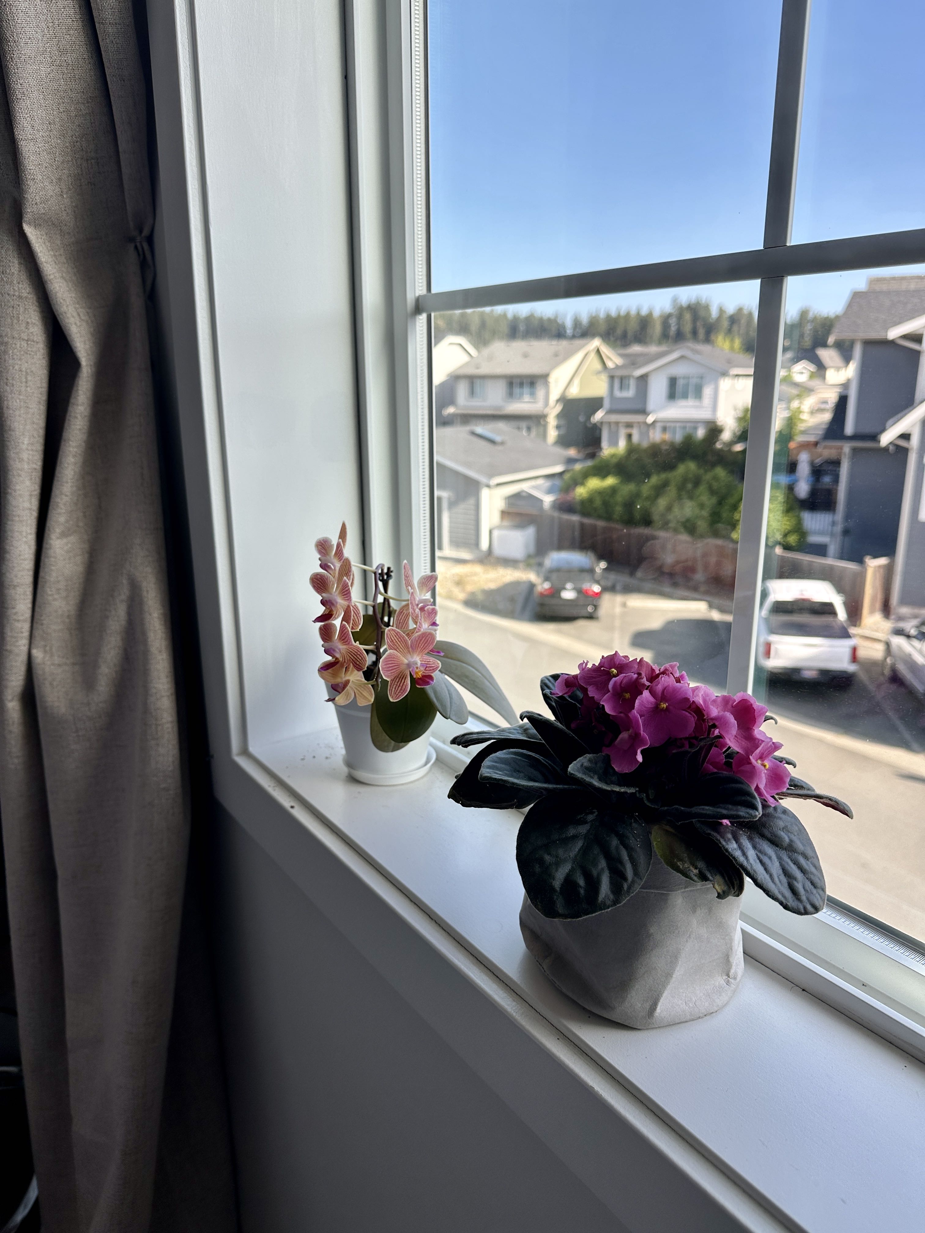 Photo from the post