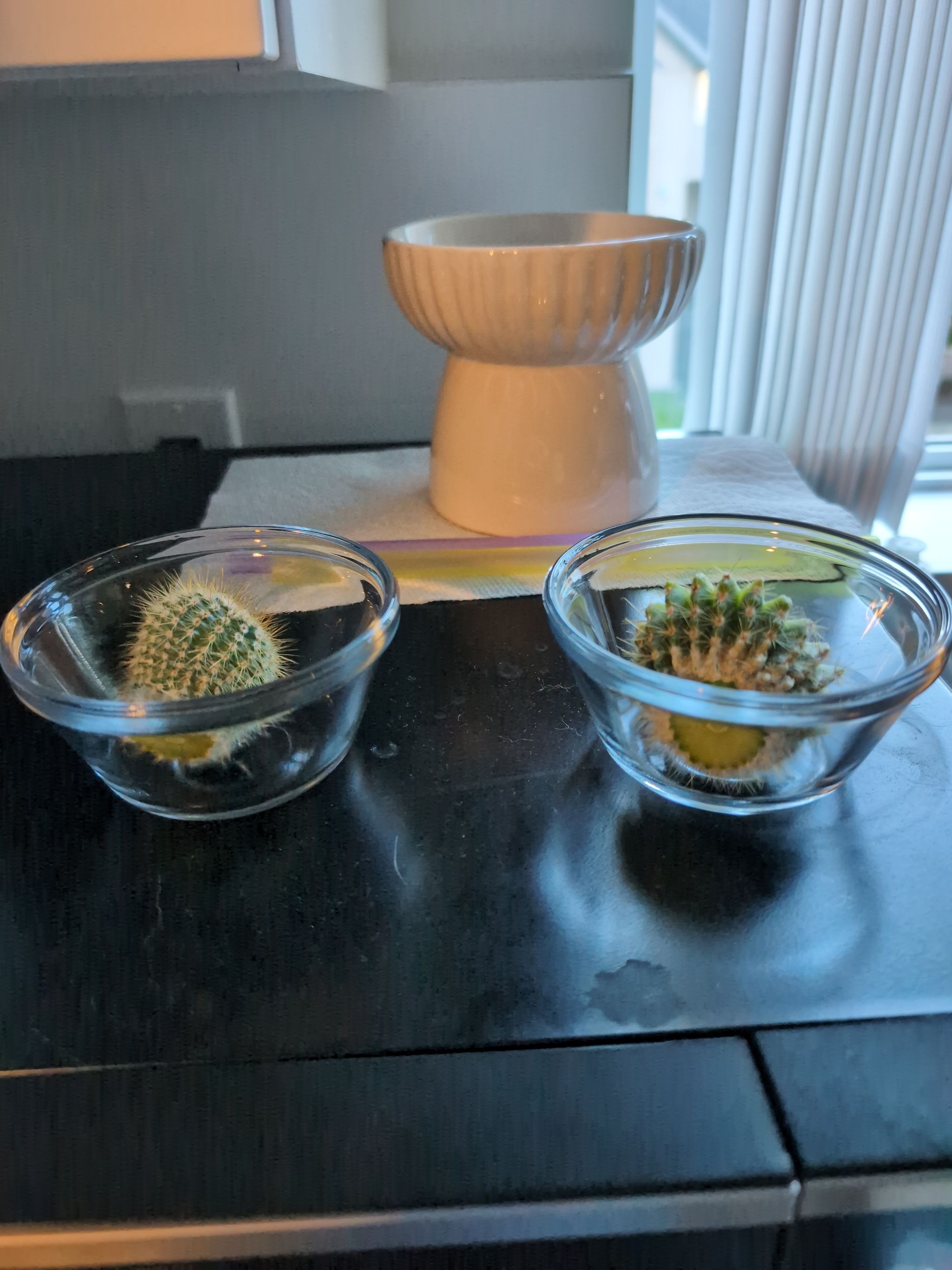 Photo from the post