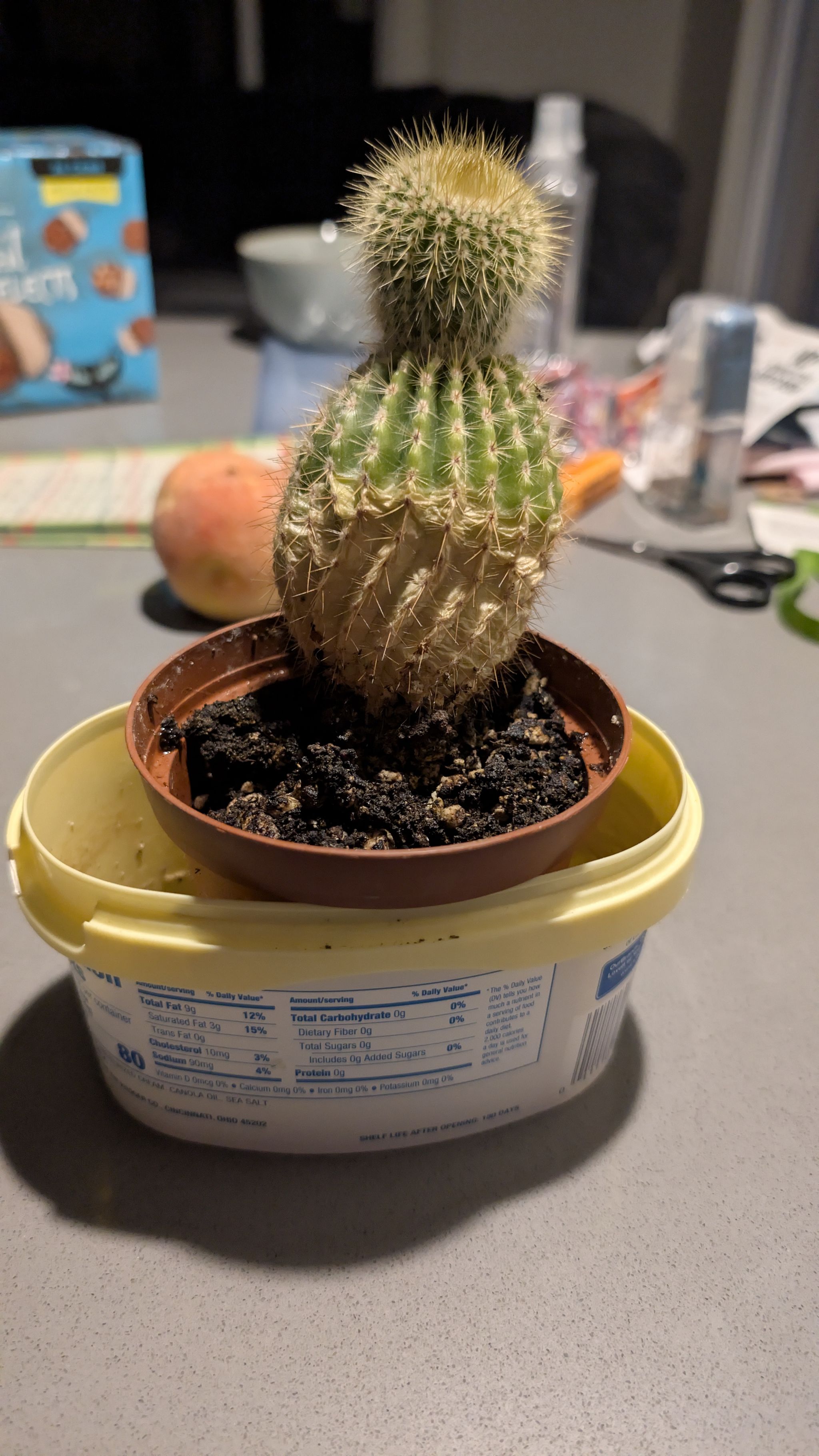 Photo from the post
