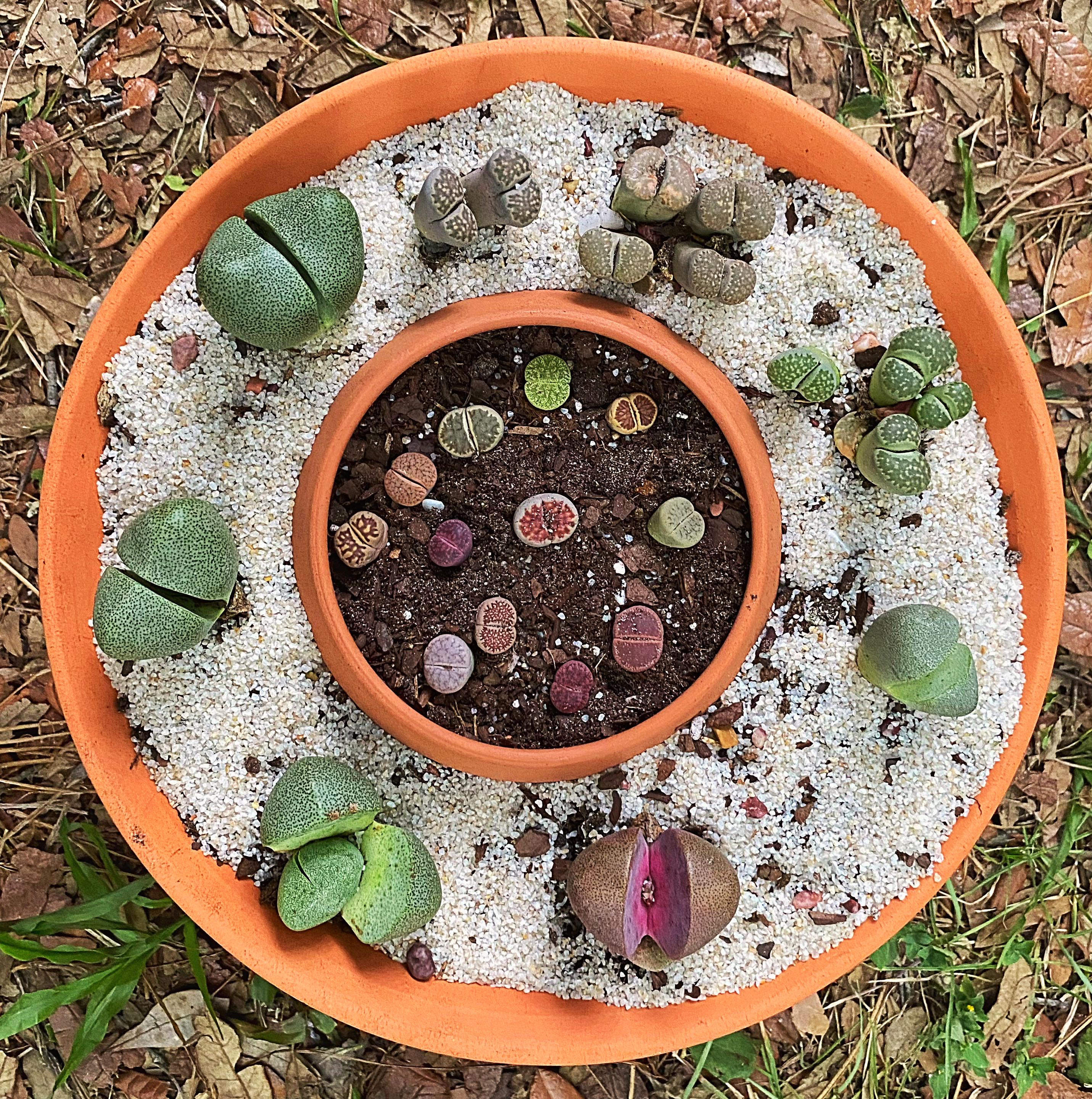 Photo from the post