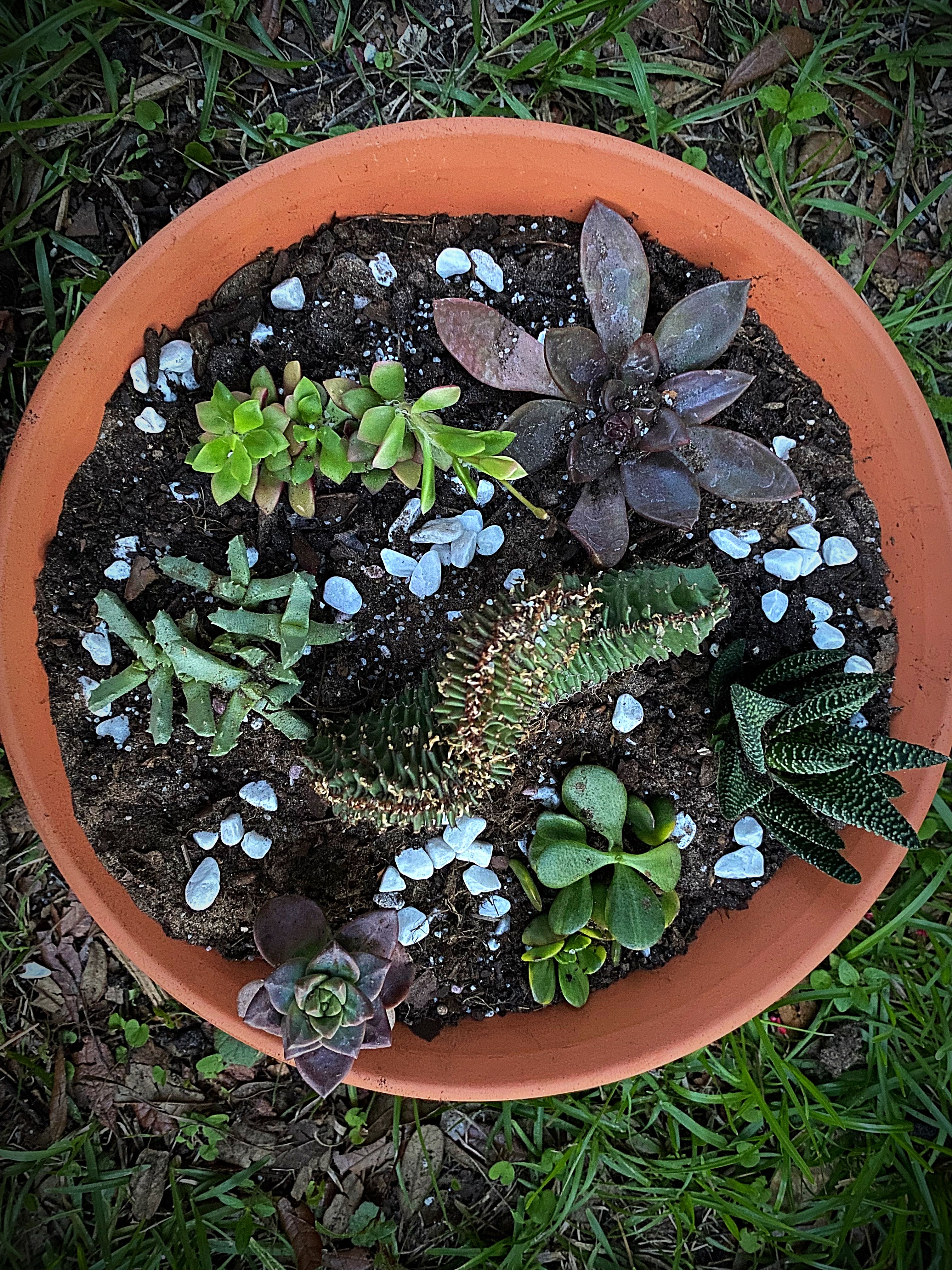Photo from the post