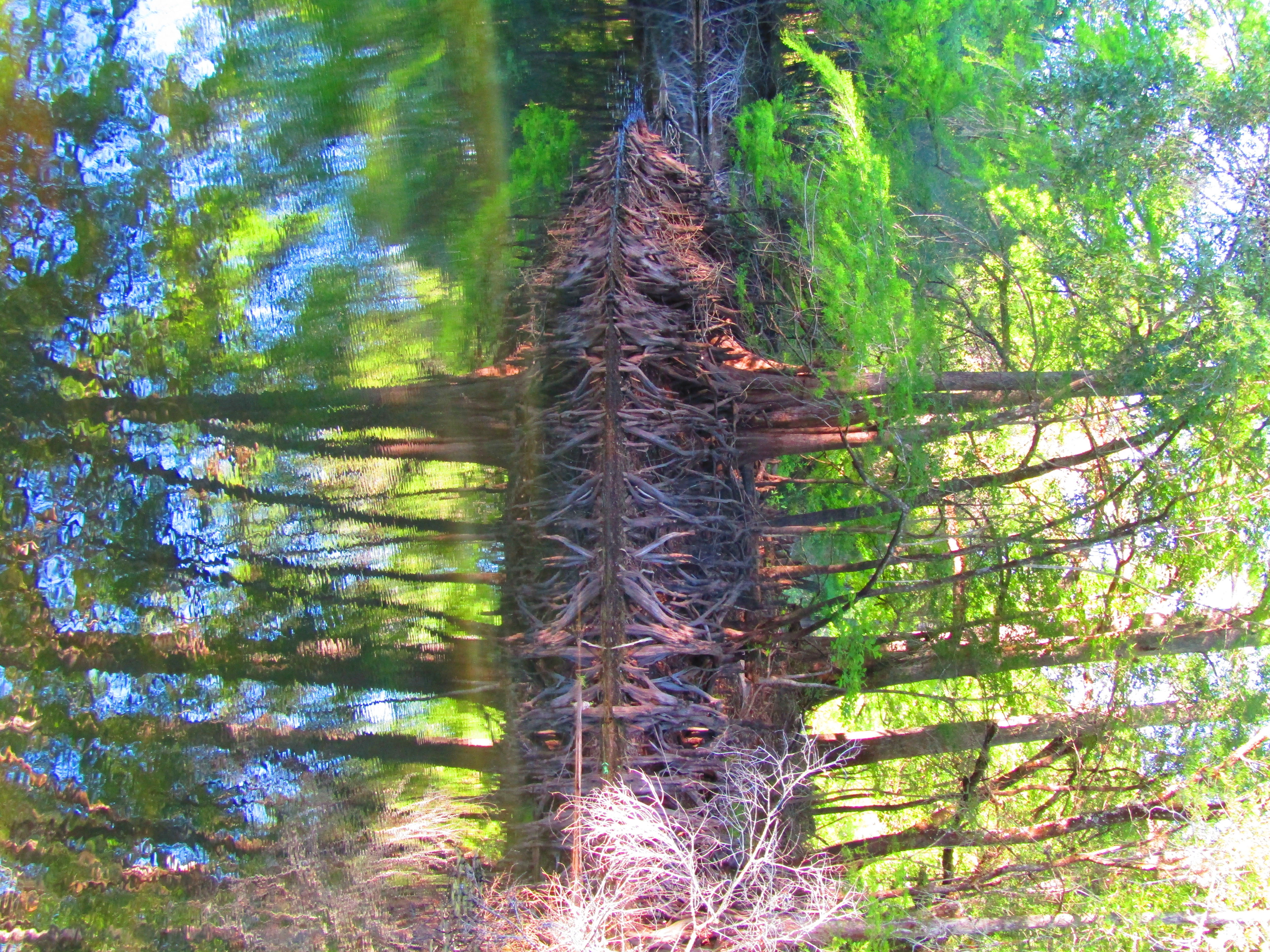 Photo from the post