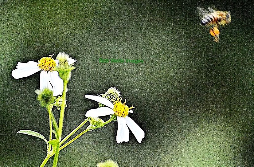 Photo from the post