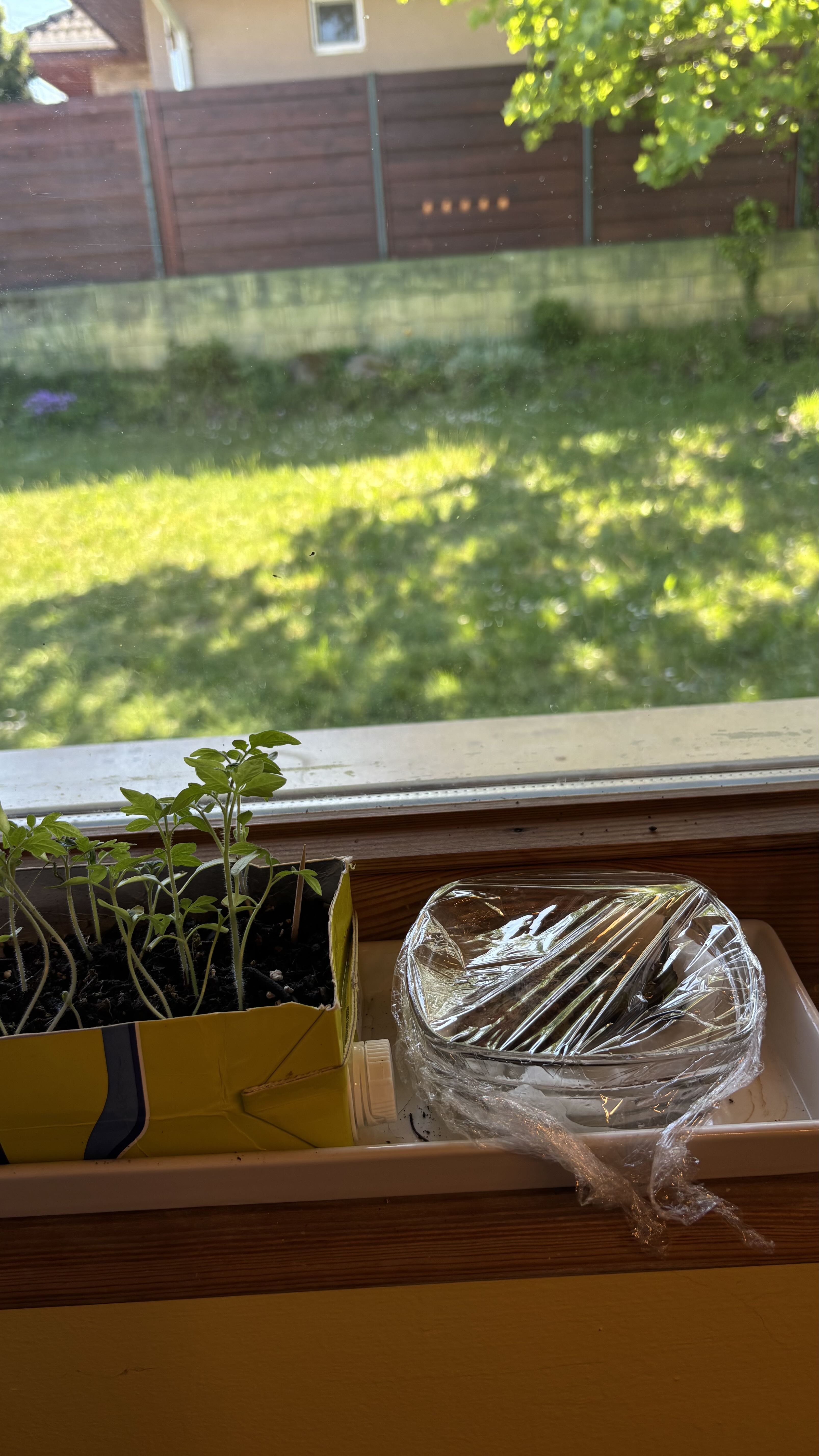 Photo from the post