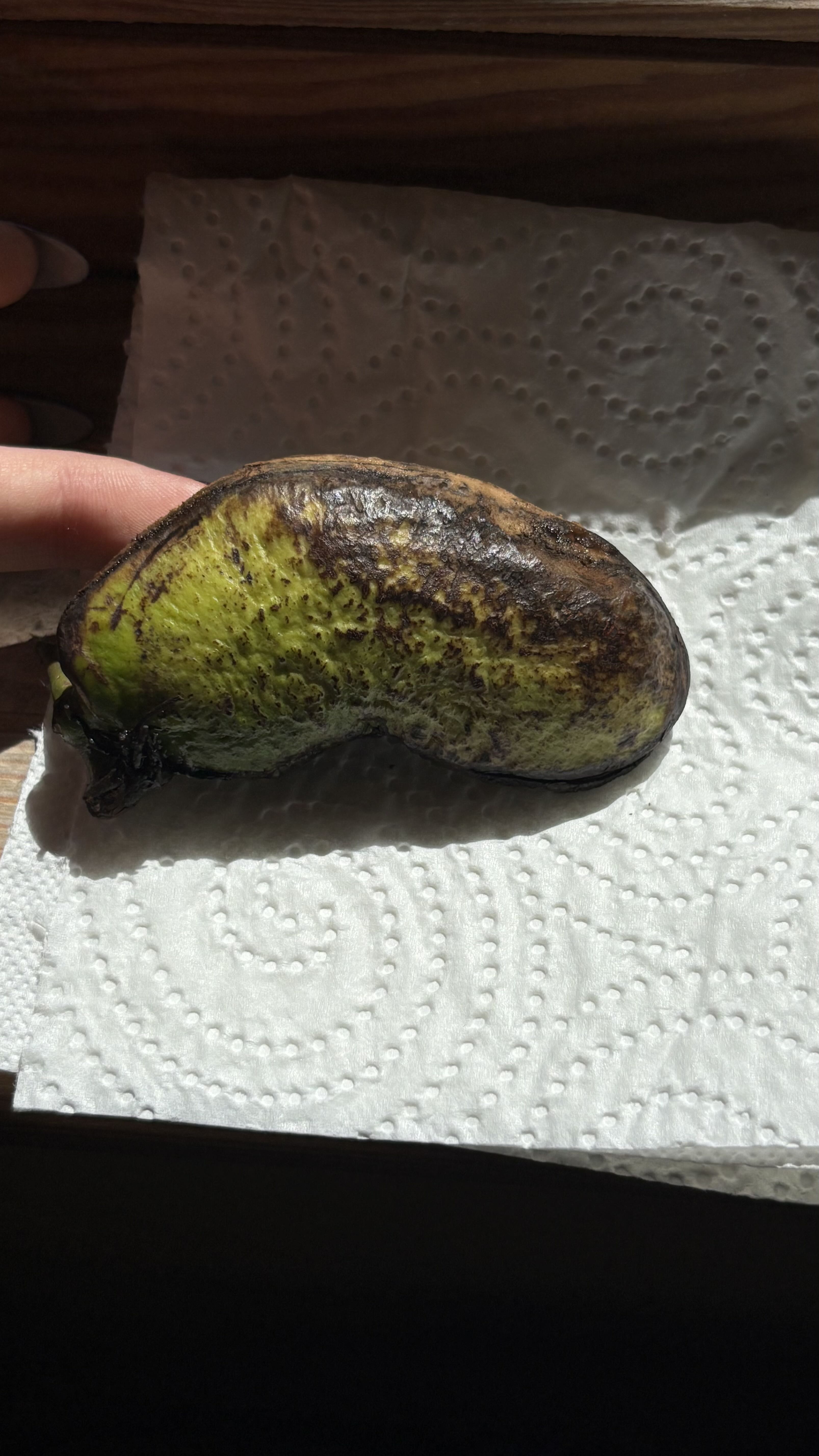 Photo from the post