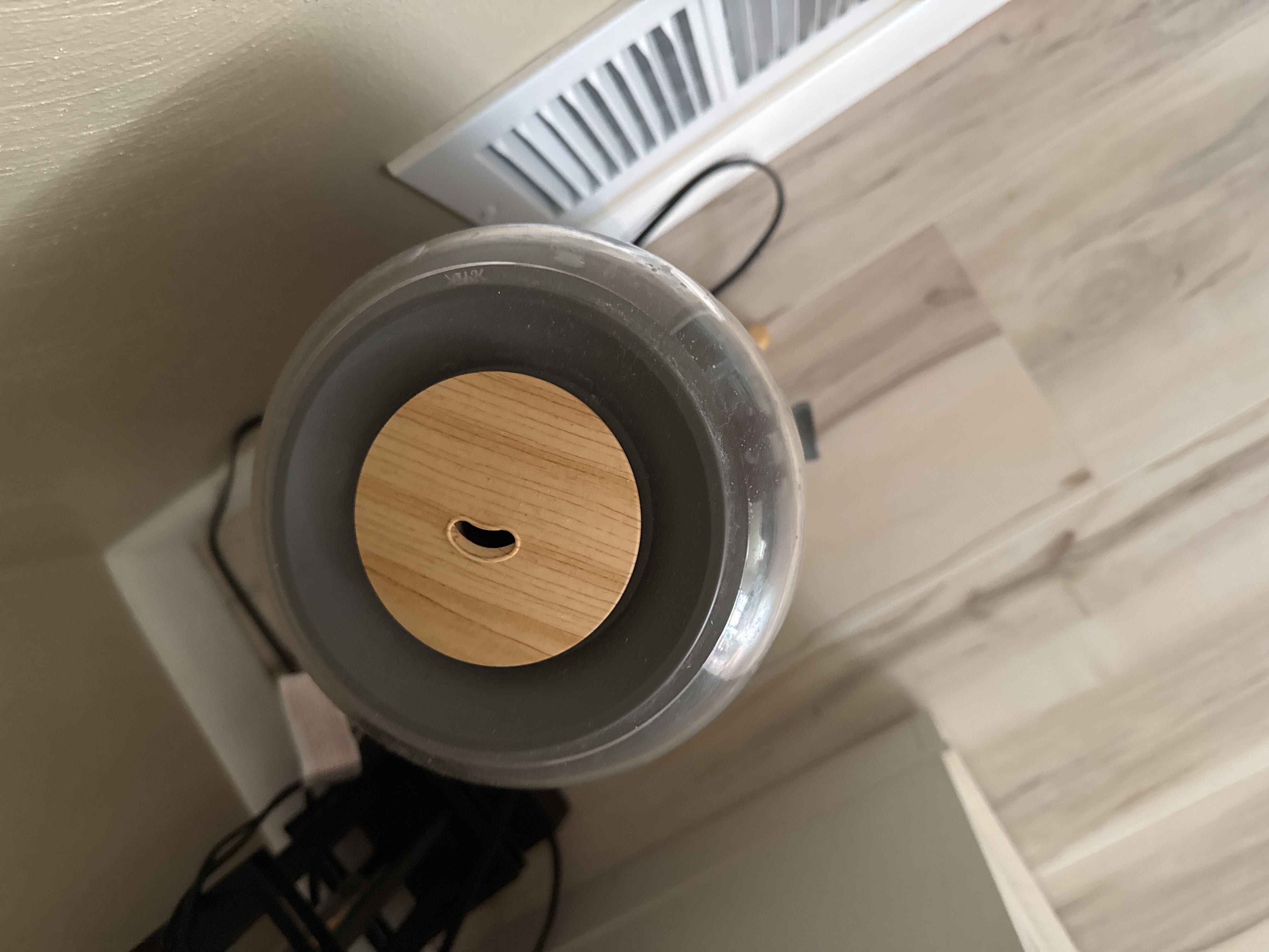 Photo from the post