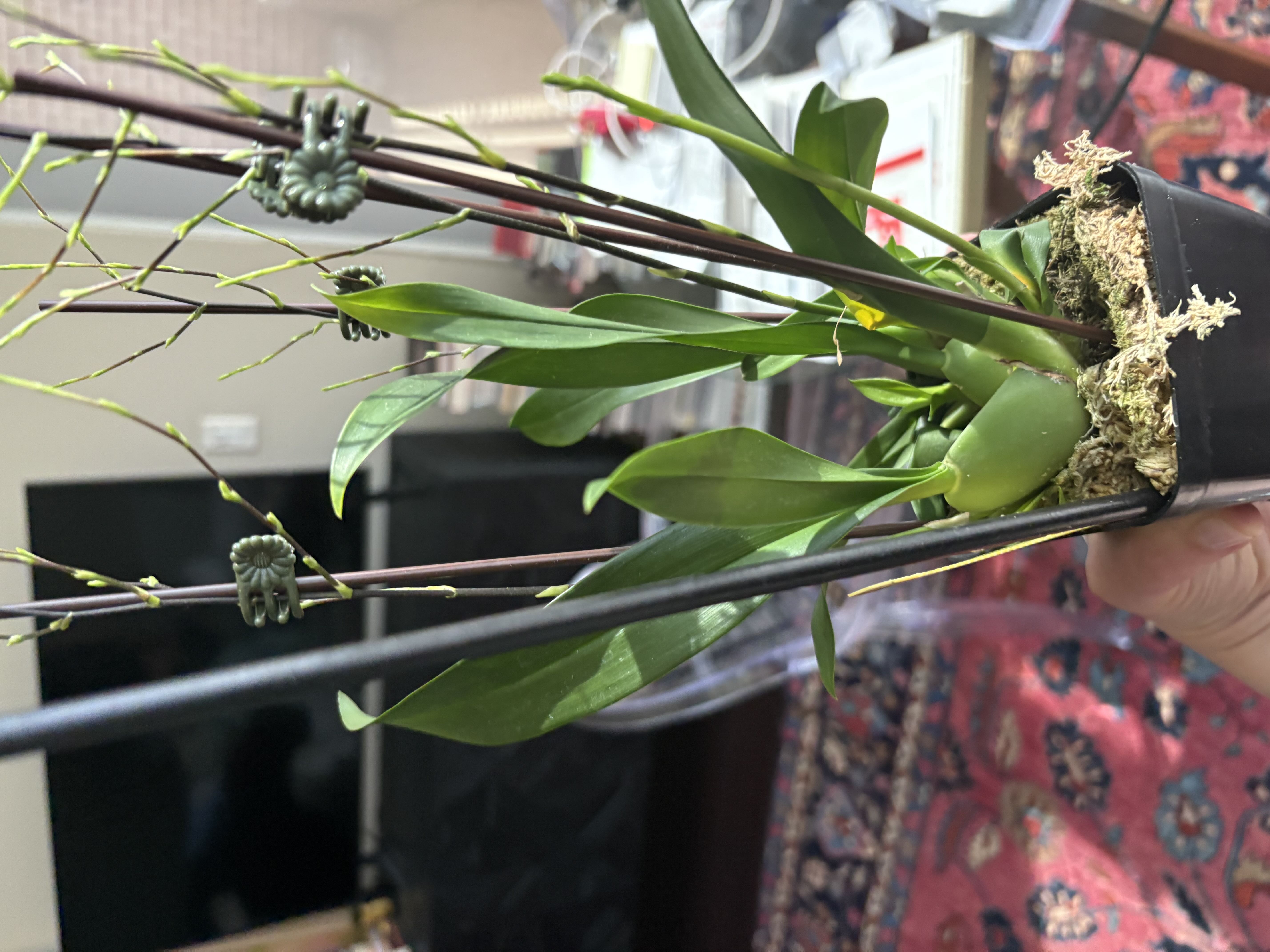Photo from the post