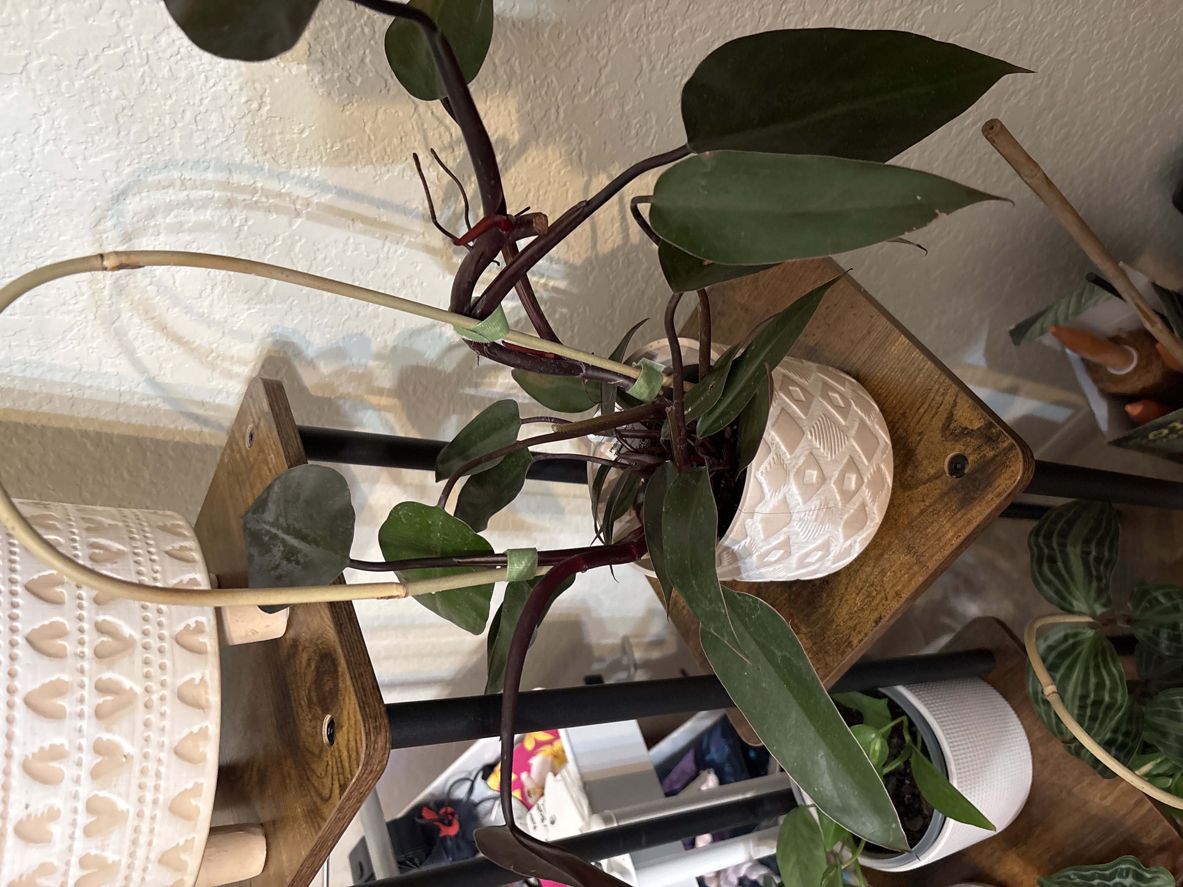 Photo from the post
