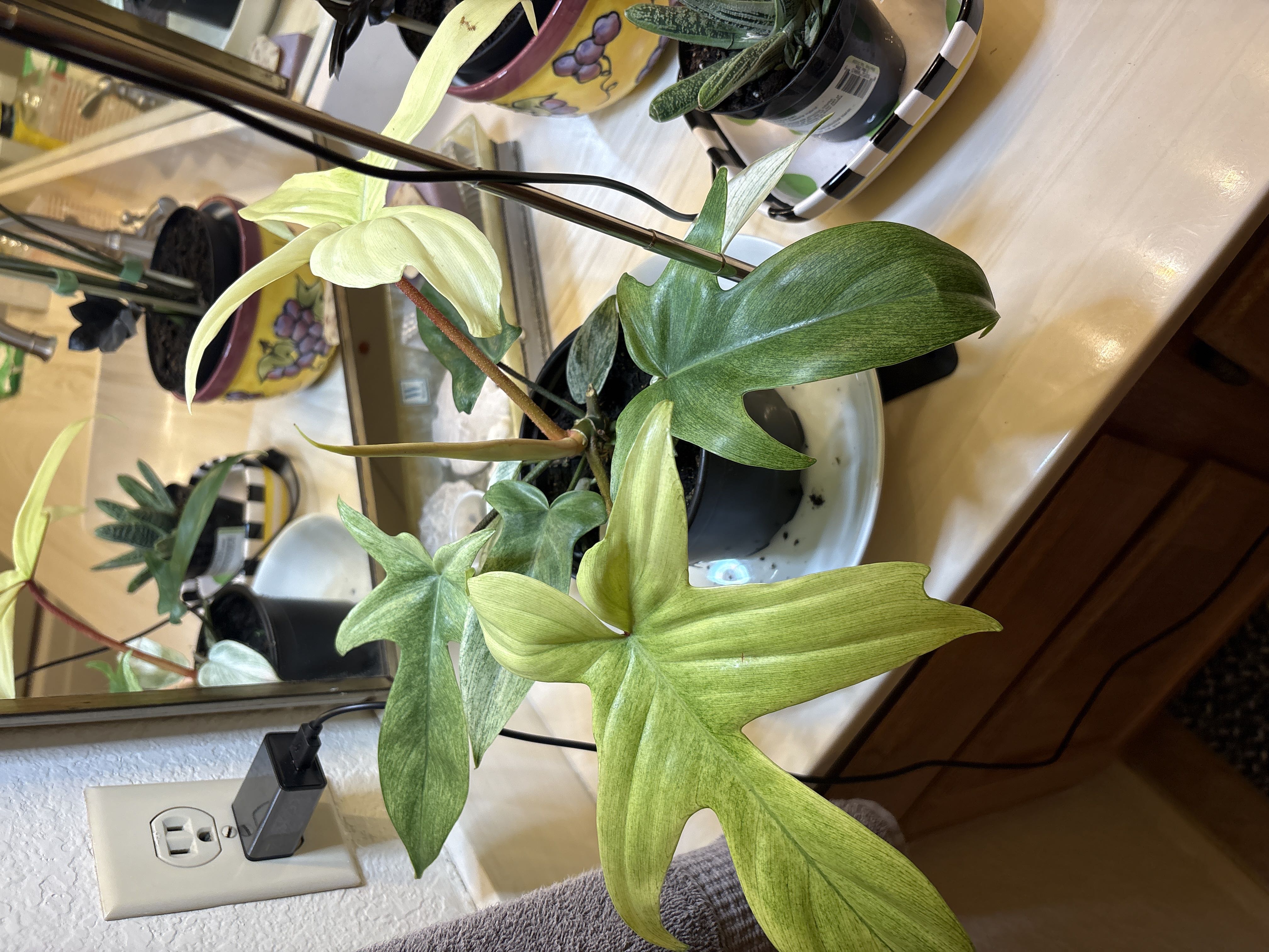 Photo from the post